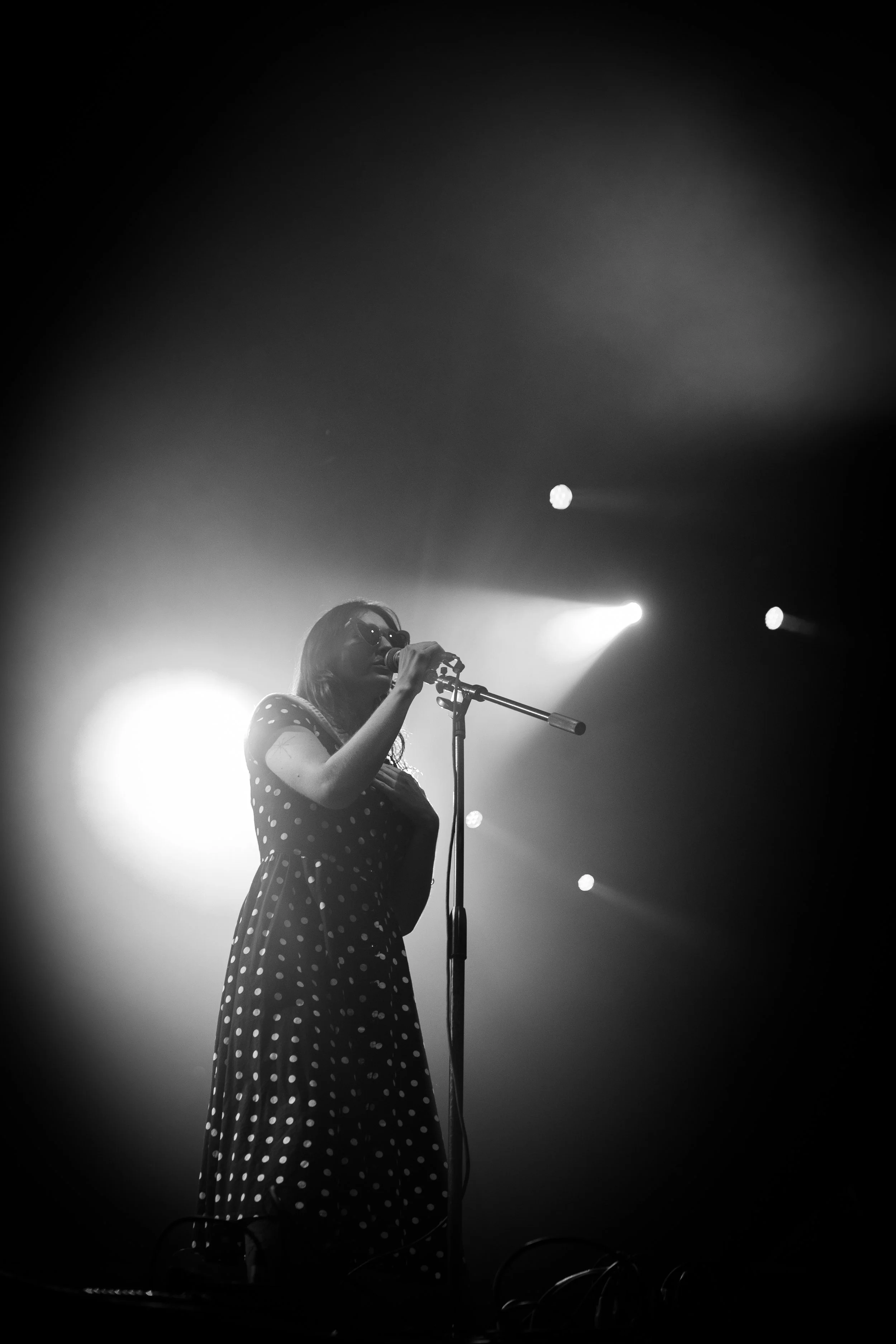 DSC01010.jpg