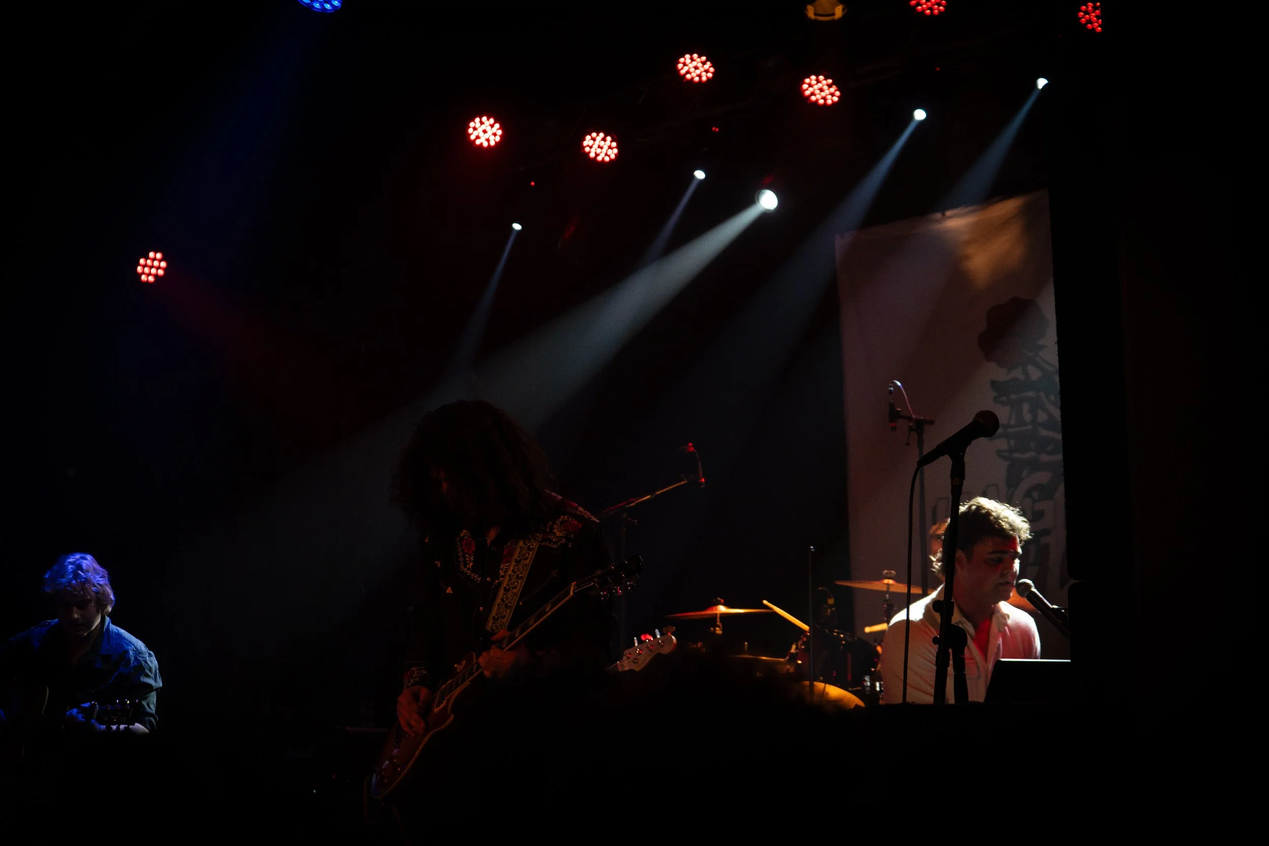 DSC08451.jpg