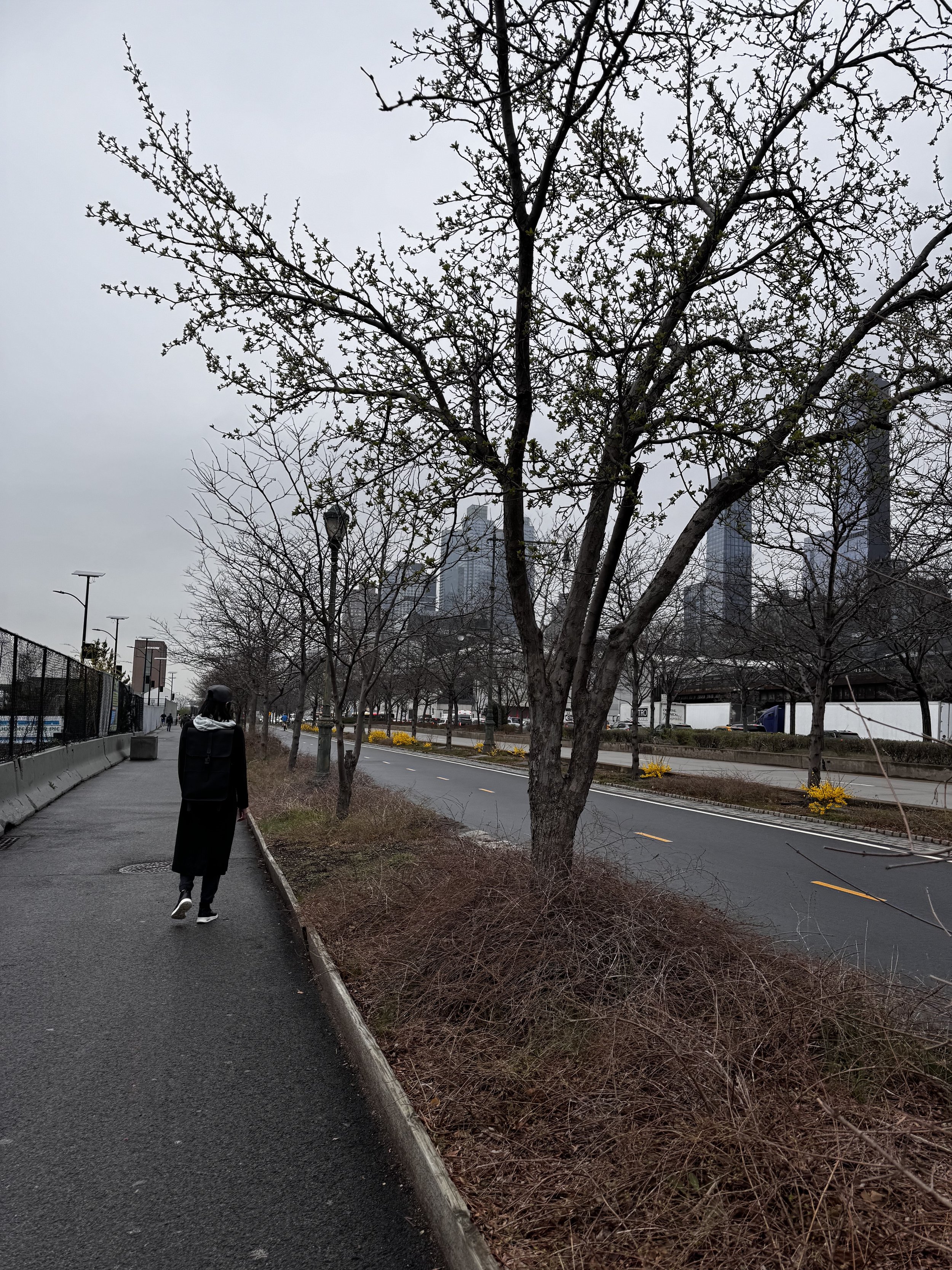 Camino Along the Hudson 