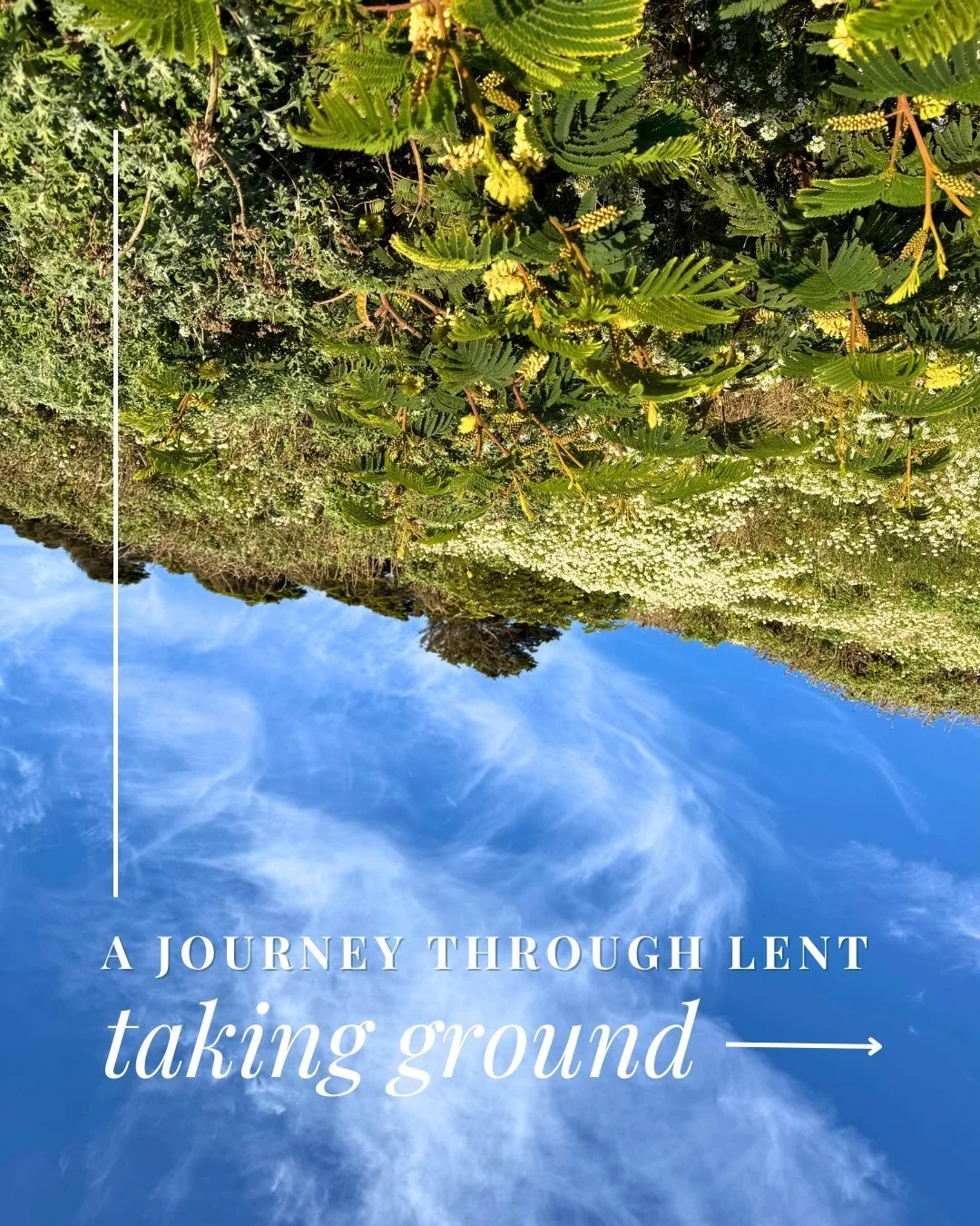✨The grounds on which we stand 

God is already in the place
where your feet are planted
Your ordinary ground &mdash;
your routines,
your conversations,
your quiet moments &mdash;
become a meeting place
with Him.

Reflection:

What if the ground on w