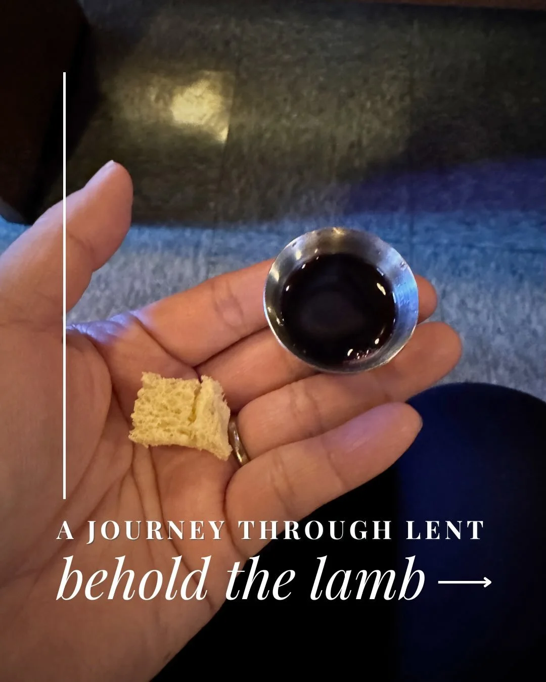 ✨&rdquo;Behold, the Lamb of God.&rdquo;✨&mdash; John 1:29

Let us behold the Lamb of God. To behold is to look with a softened heart and to let ourselves 
be met by the love that stands before us. 

We hold this day as a sacred pause&mdash;a moment t