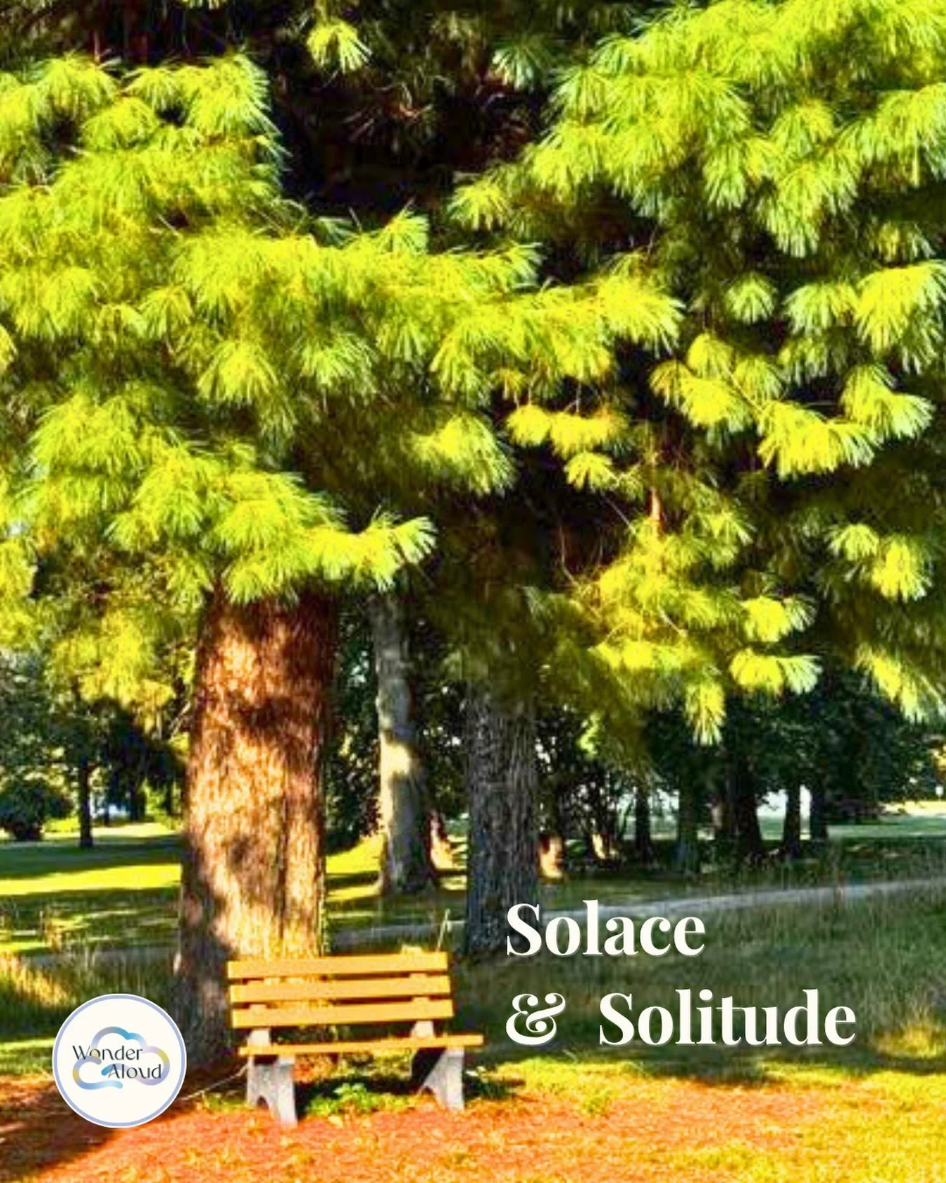 ✨As we prepare for our annual summer silent retreat, two words that resound are solace and solitude. 

Solitude can be the gateway to be known and seen by God. Where solace is ready to embrace us. ✨🕊️

Be still and know I am God. ~ Psalm 46:10

#won