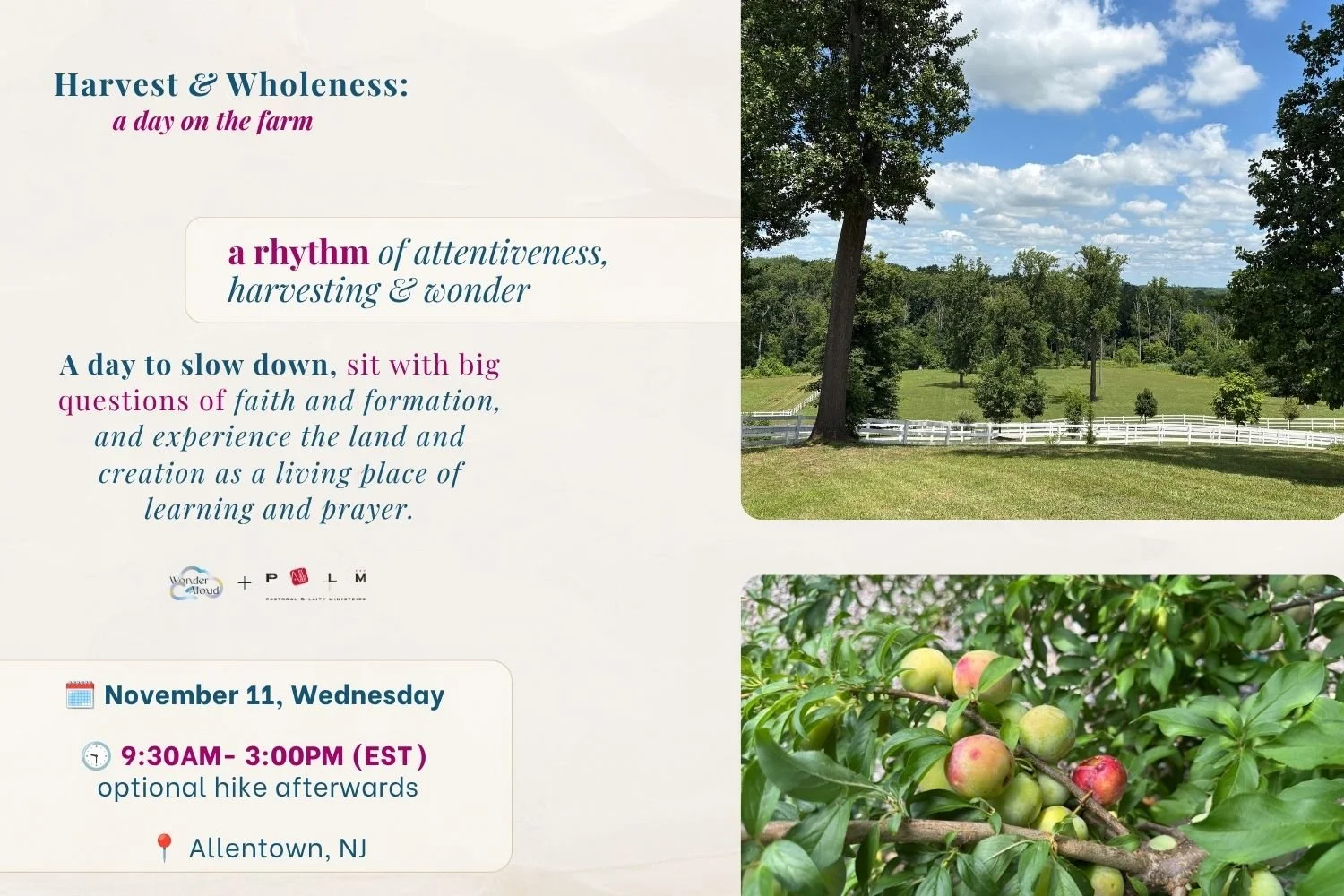 Harvest &amp; Wholeness: a day on the farm (Allentown, NJ)