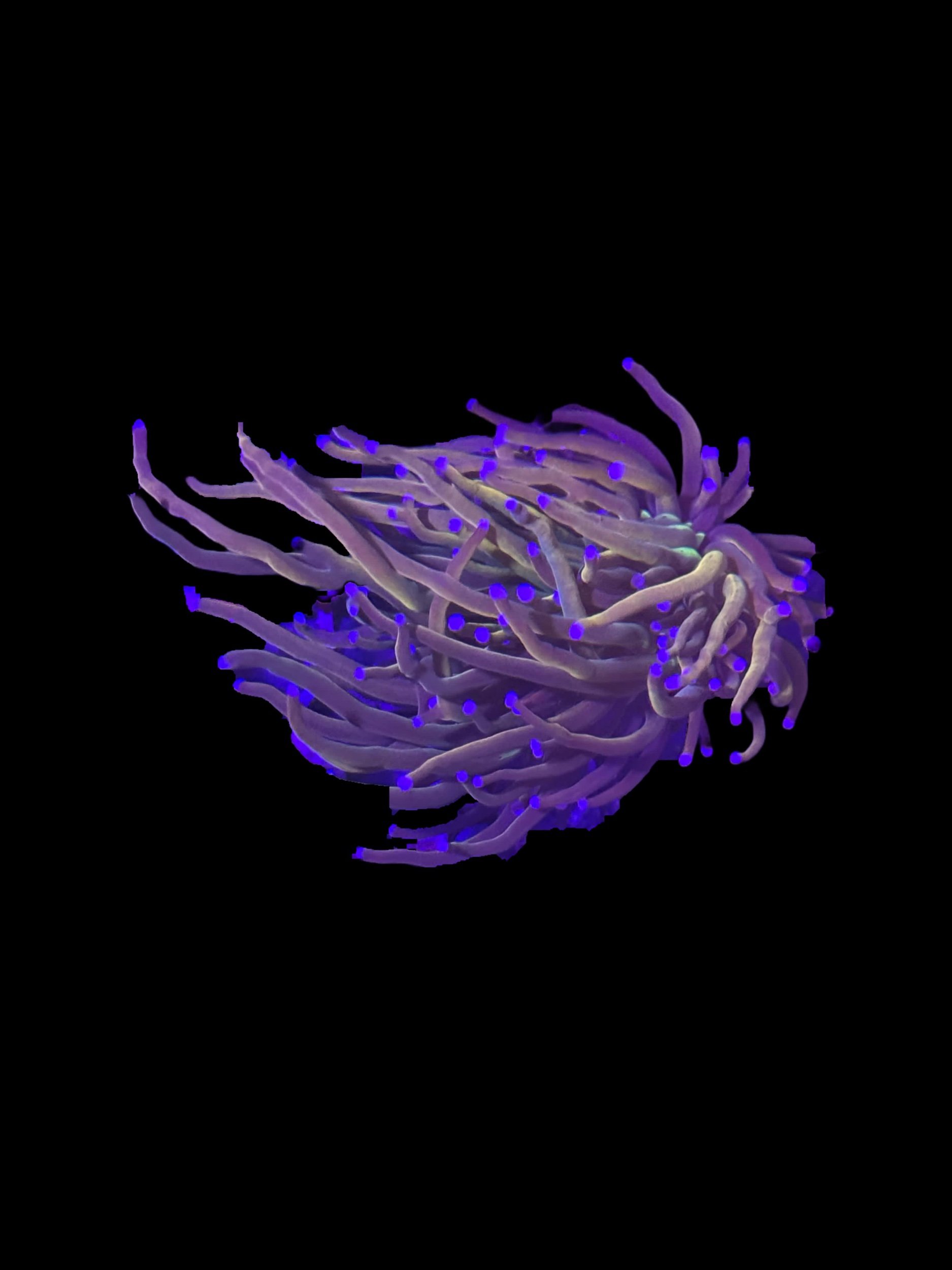 42151E5A-3705-41E8-B7C9-89CEB951D95B.jpeg