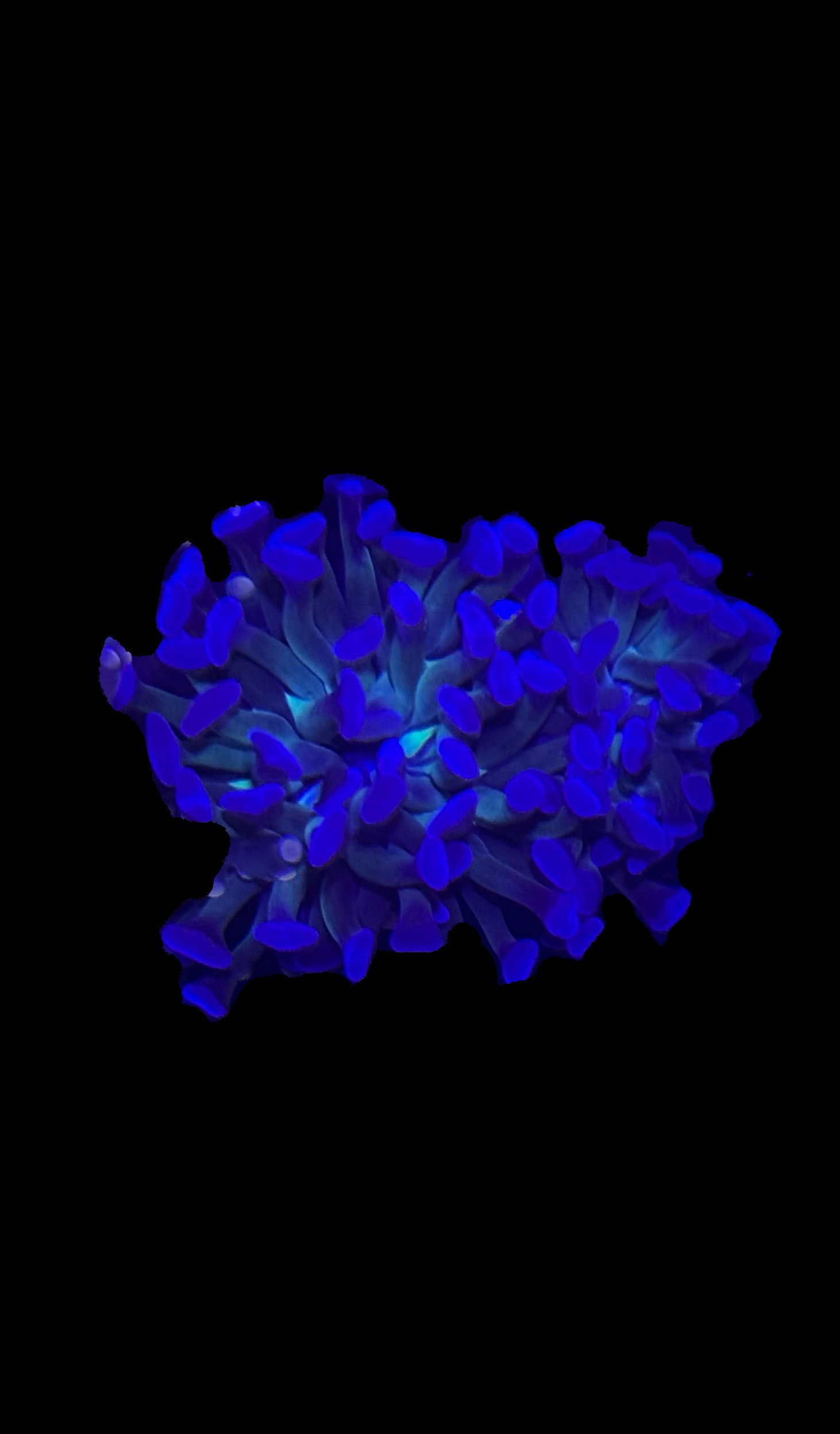 4689013F-23DC-449B-90A3-9D78036B09BD.jpeg