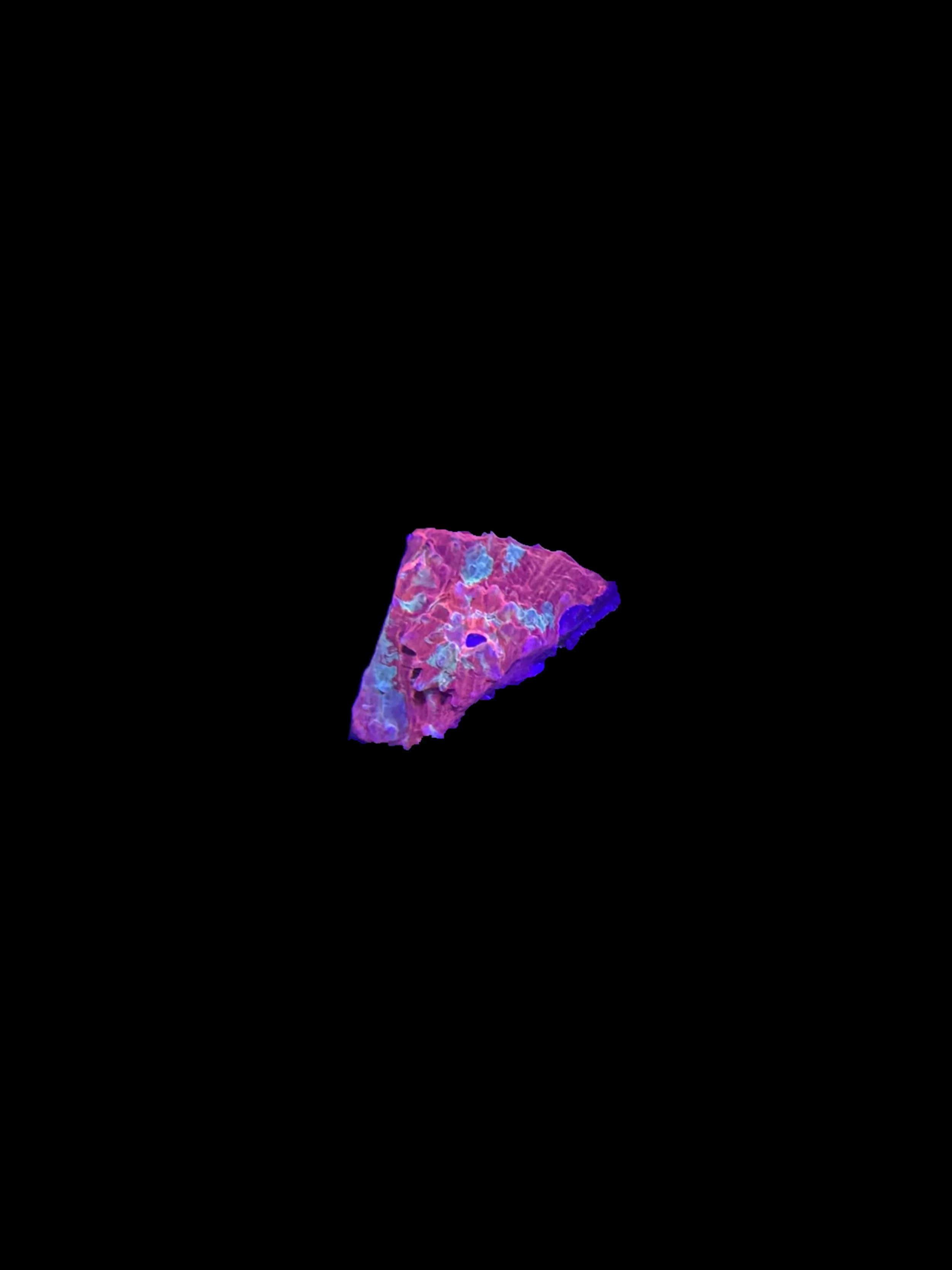 606D7EA6-D32D-495F-AA53-DD2BD4C0A67D.jpeg