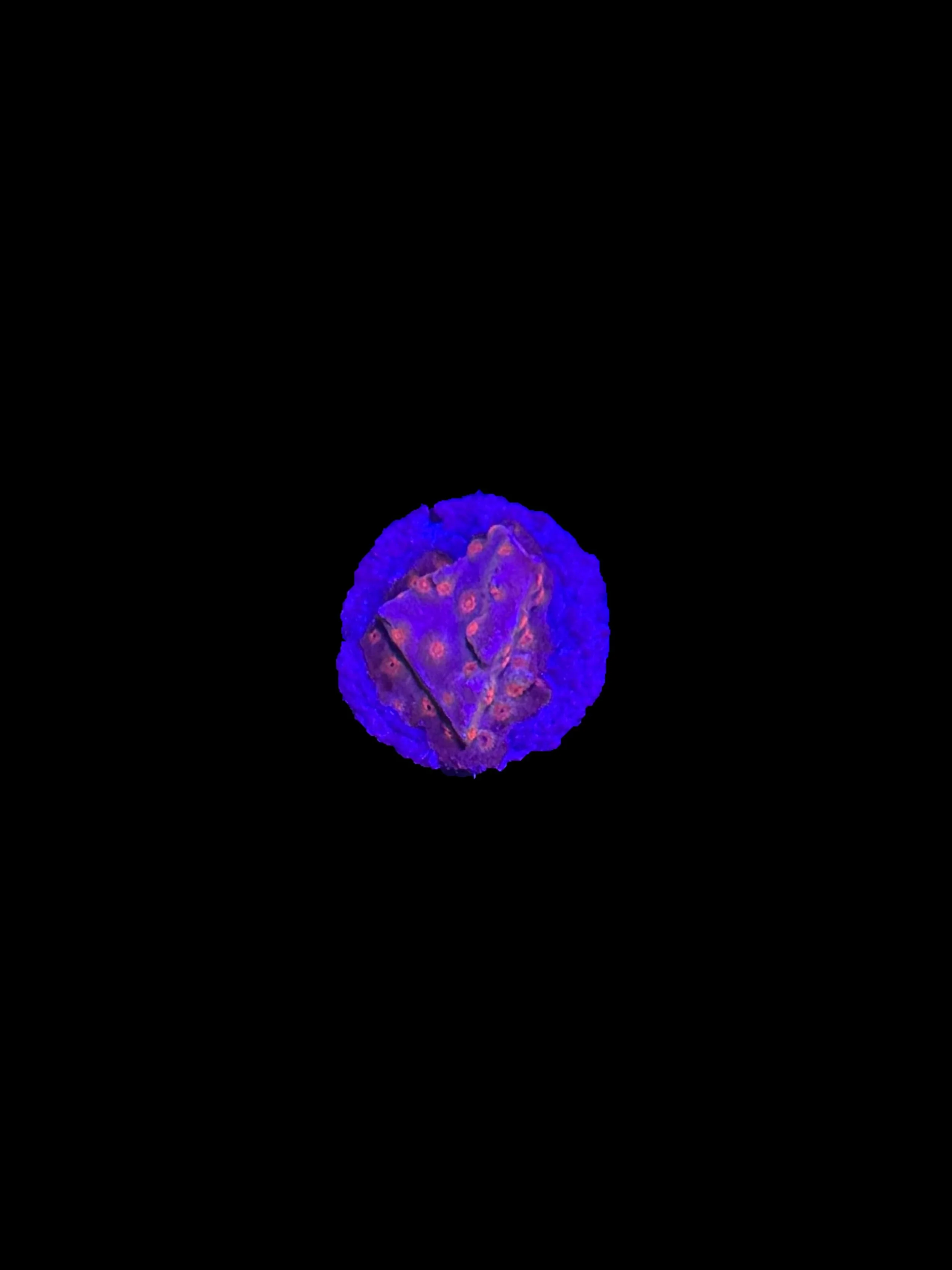0F3229C6-C193-440B-B392-F39221602ED9.jpeg