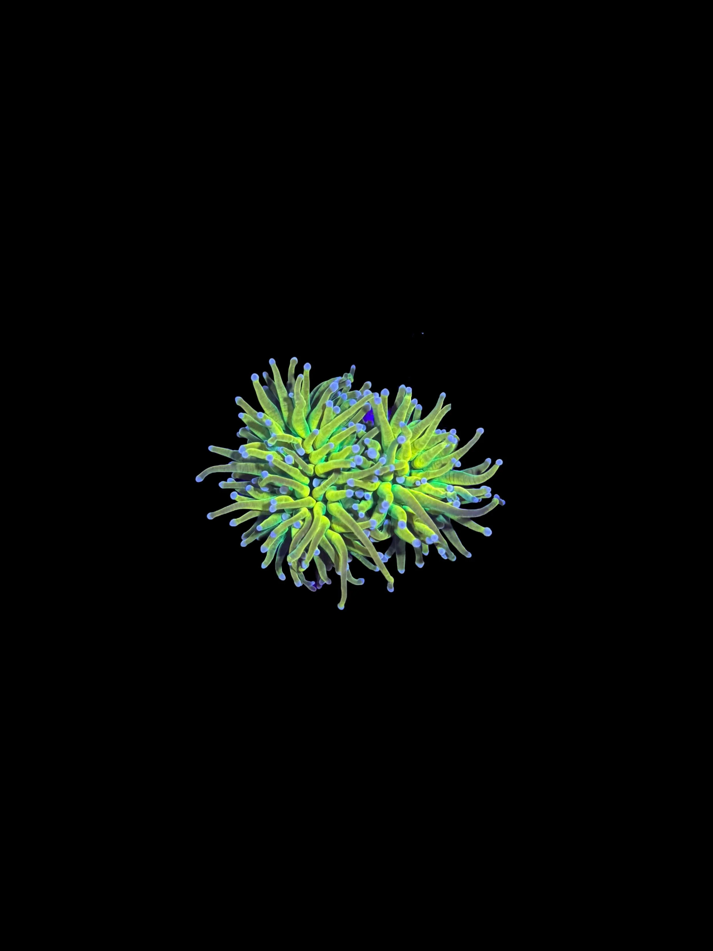 1B7BC4BC-0EDB-487E-830D-987AFBB0608E.jpeg