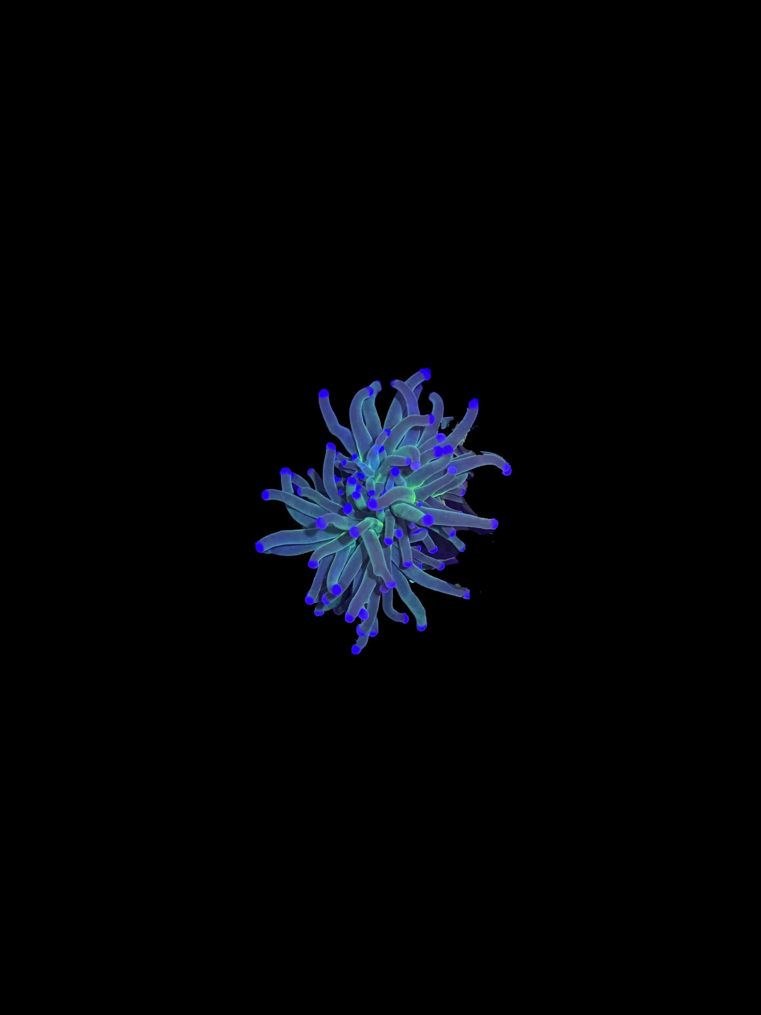 B49E8625-BDE1-4754-8D5F-99F7BDFBC587.jpeg