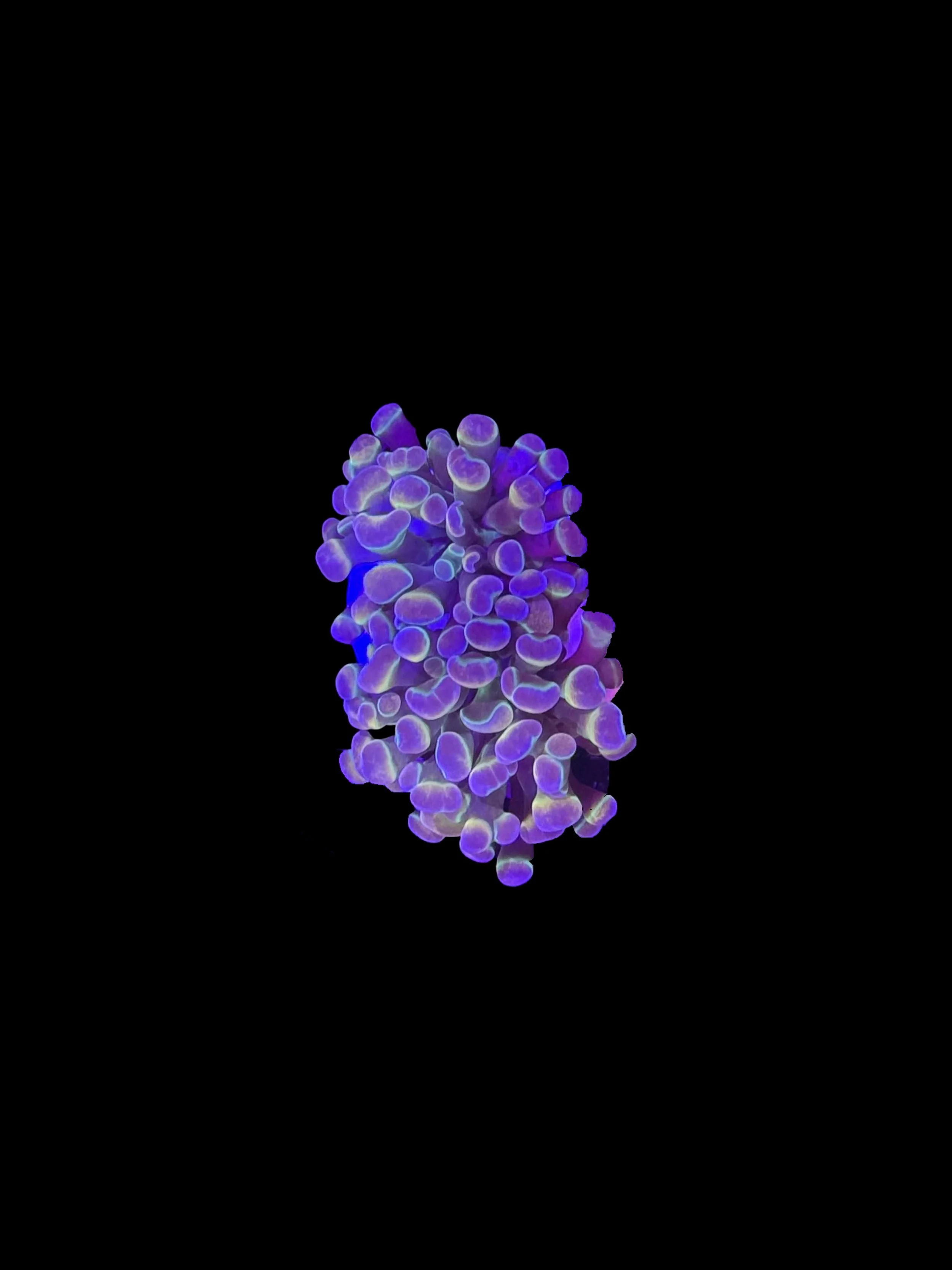 2A6E4CCB-BE0A-42E9-A388-122DDE880E87.jpeg