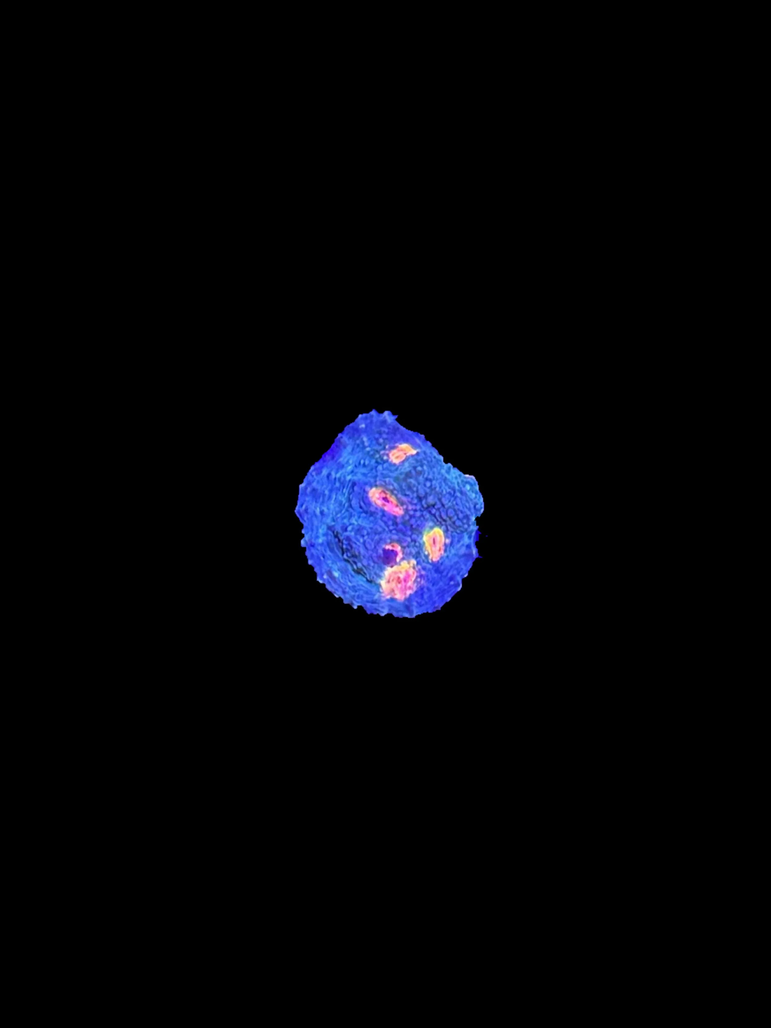 B5723C4A-D4E4-415C-A609-79AF4D4E7A87.jpeg