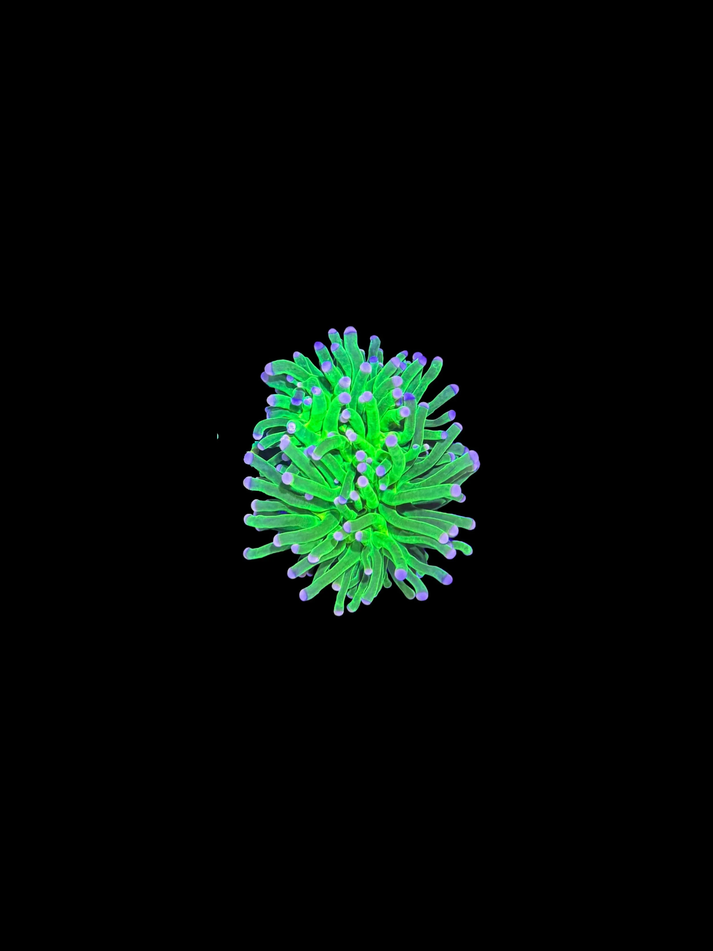 30C163B0-9A24-435D-884F-C169637F96B8.jpeg