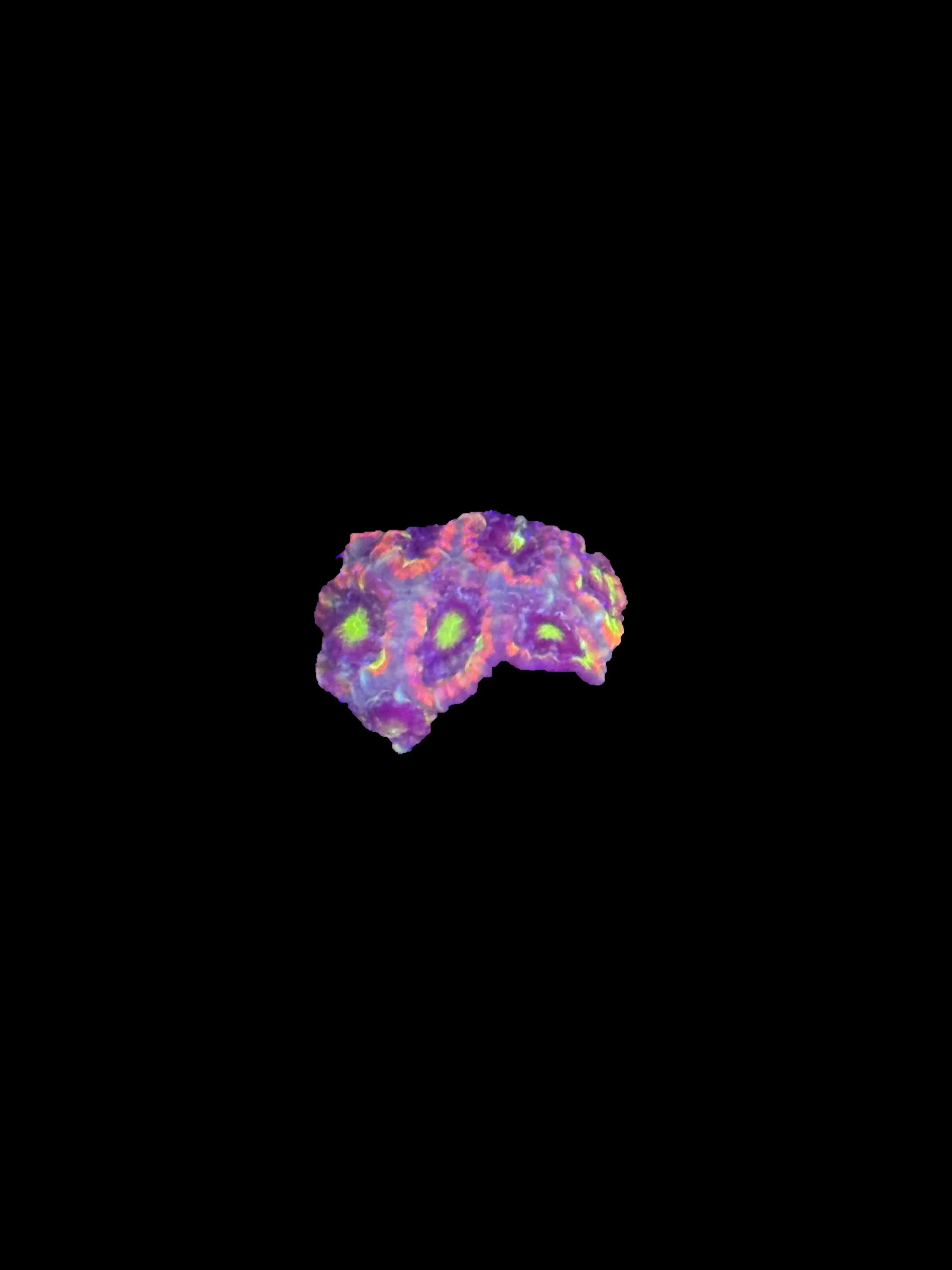 906A5F43-DE0A-40A5-B57F-619A37CA7868.jpeg