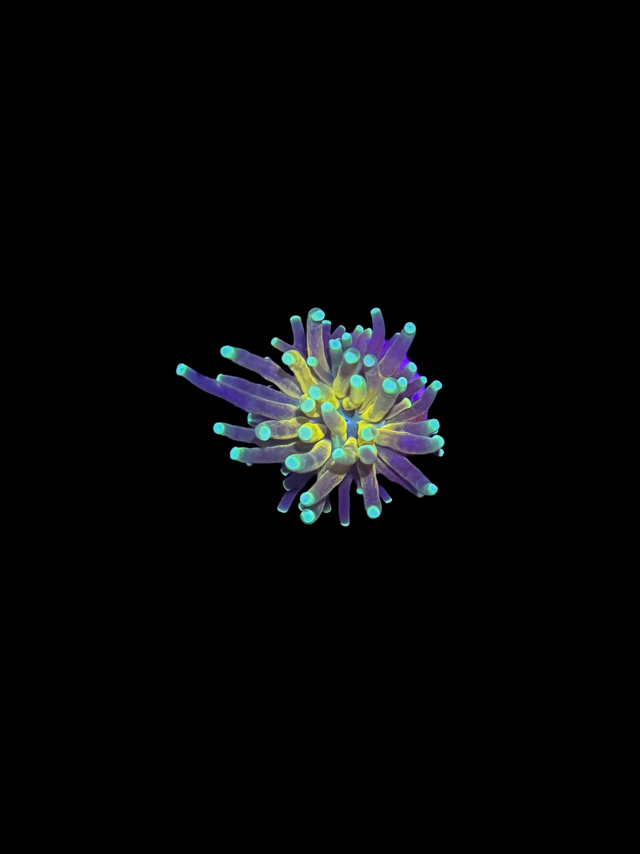 EB1867B3-0C57-41D5-B778-510778AFD244.jpeg