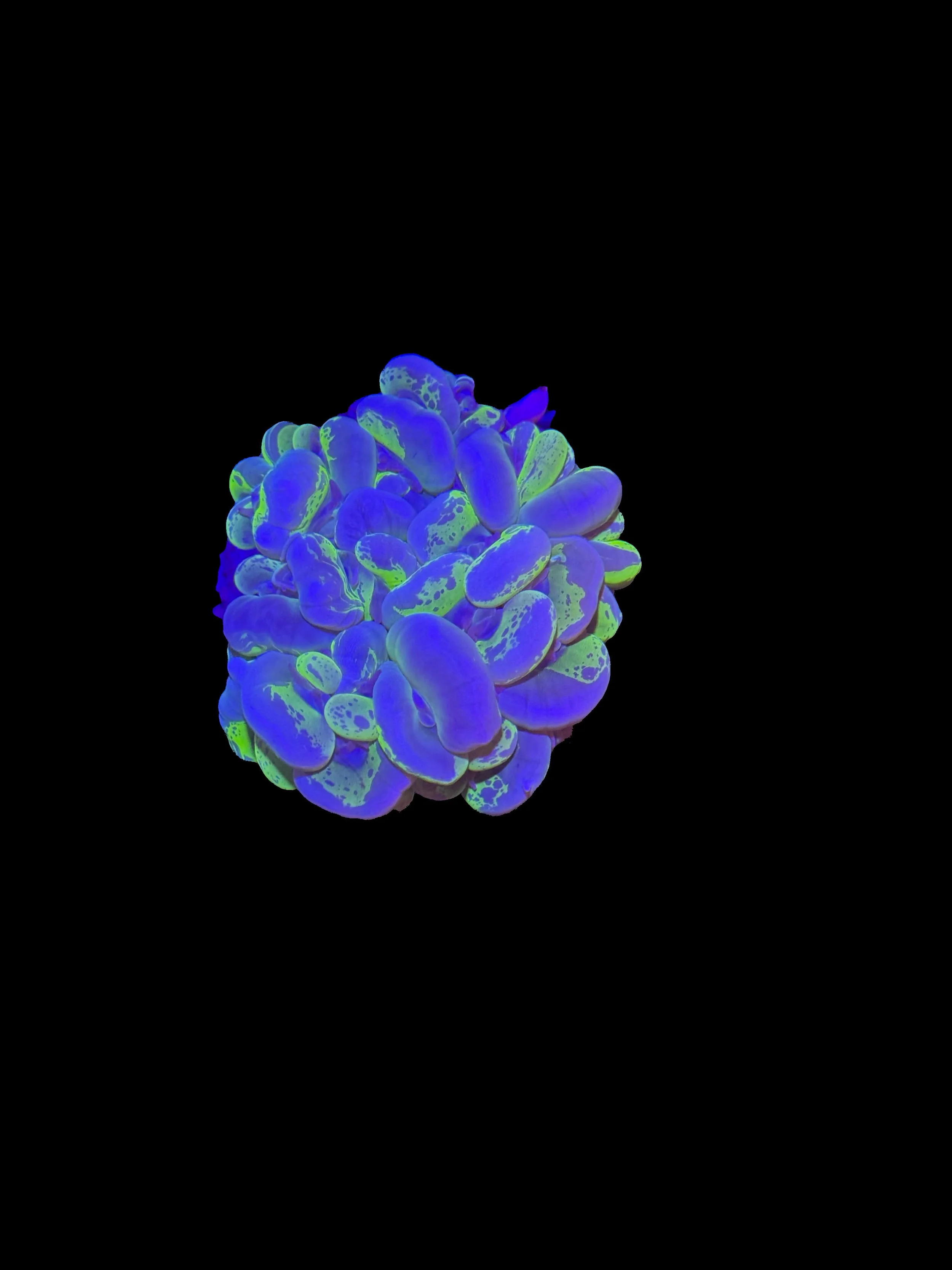 0172418F-8938-4F94-805B-A7AA55B496D6.jpeg