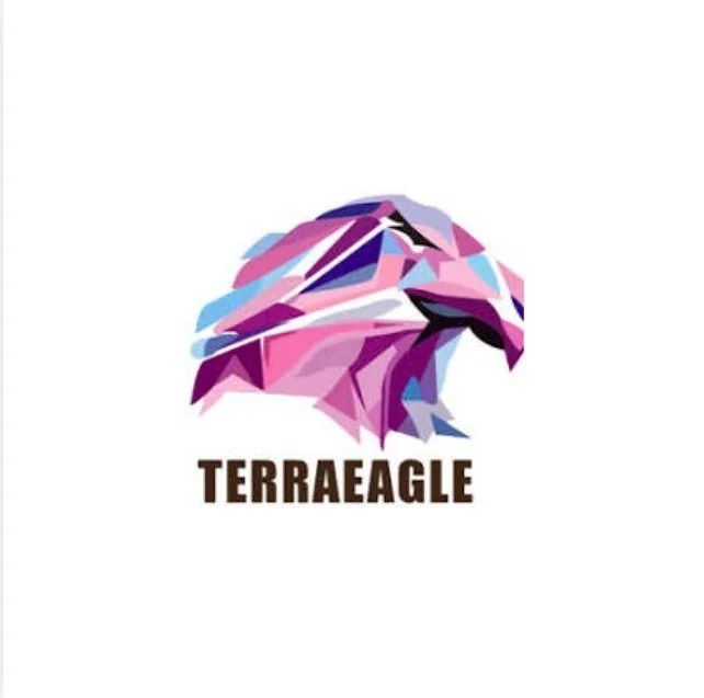 logo Terraeagle.jpg