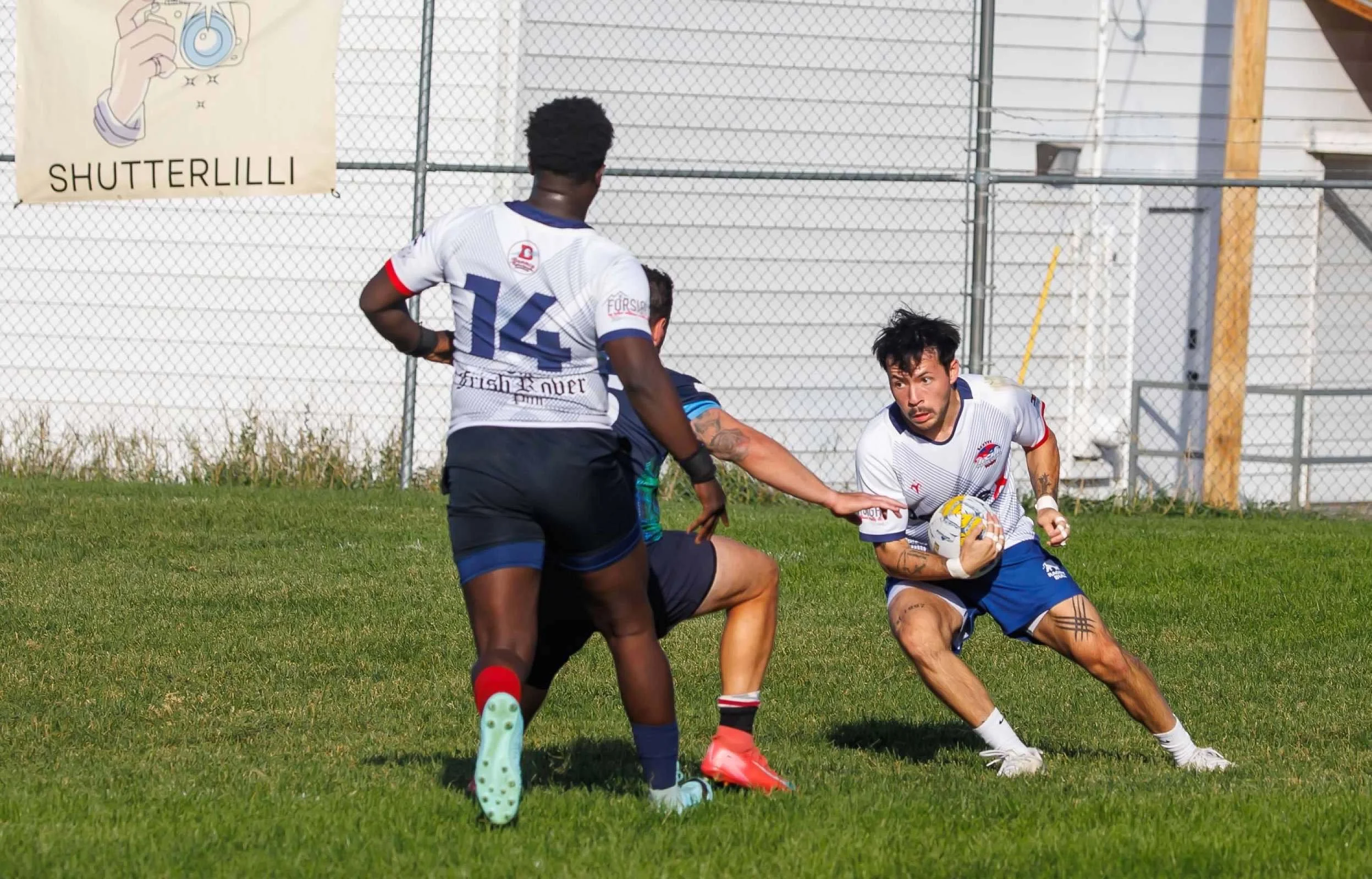 Harlequins @ flamingos