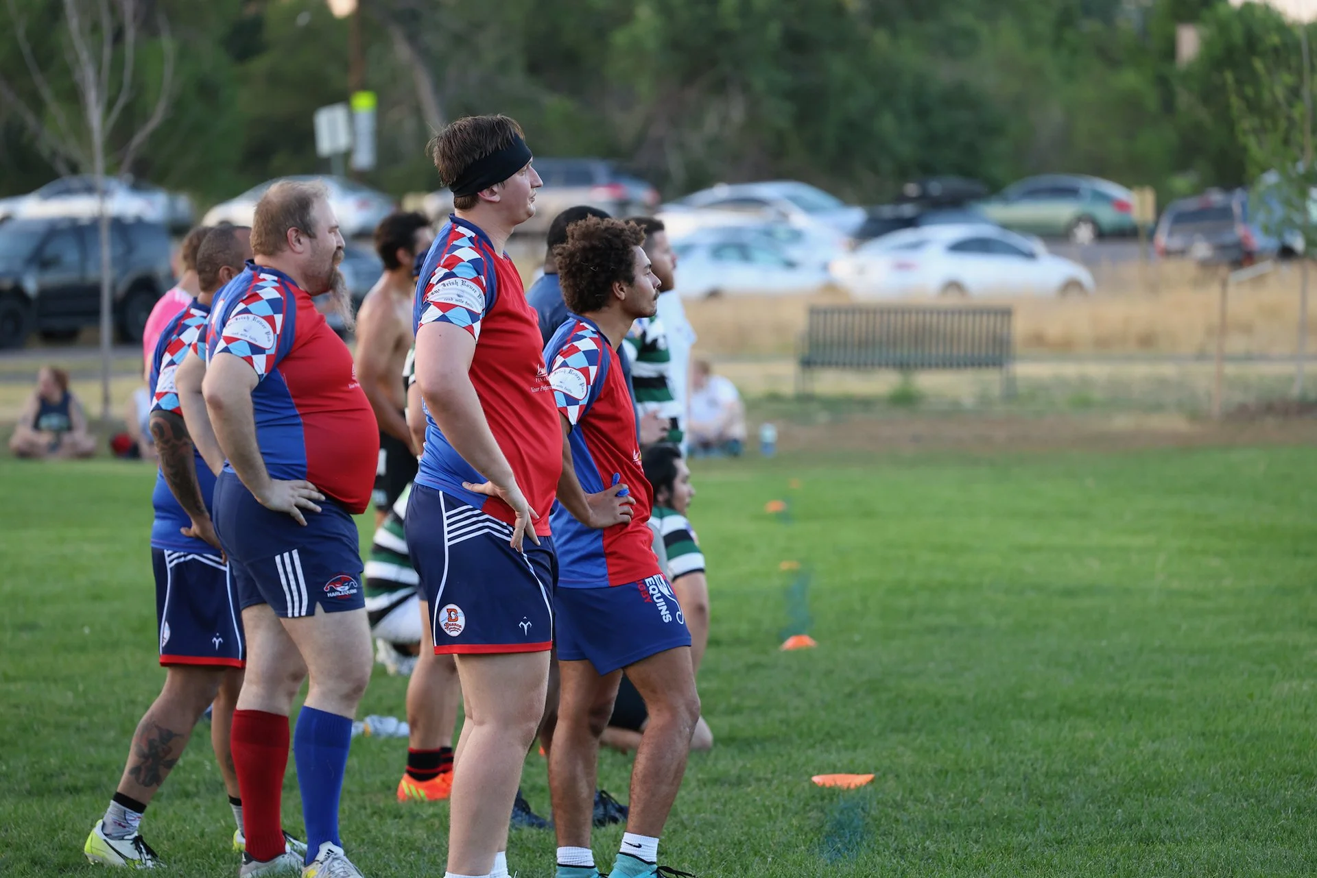Denver Harlequins Rugby Club