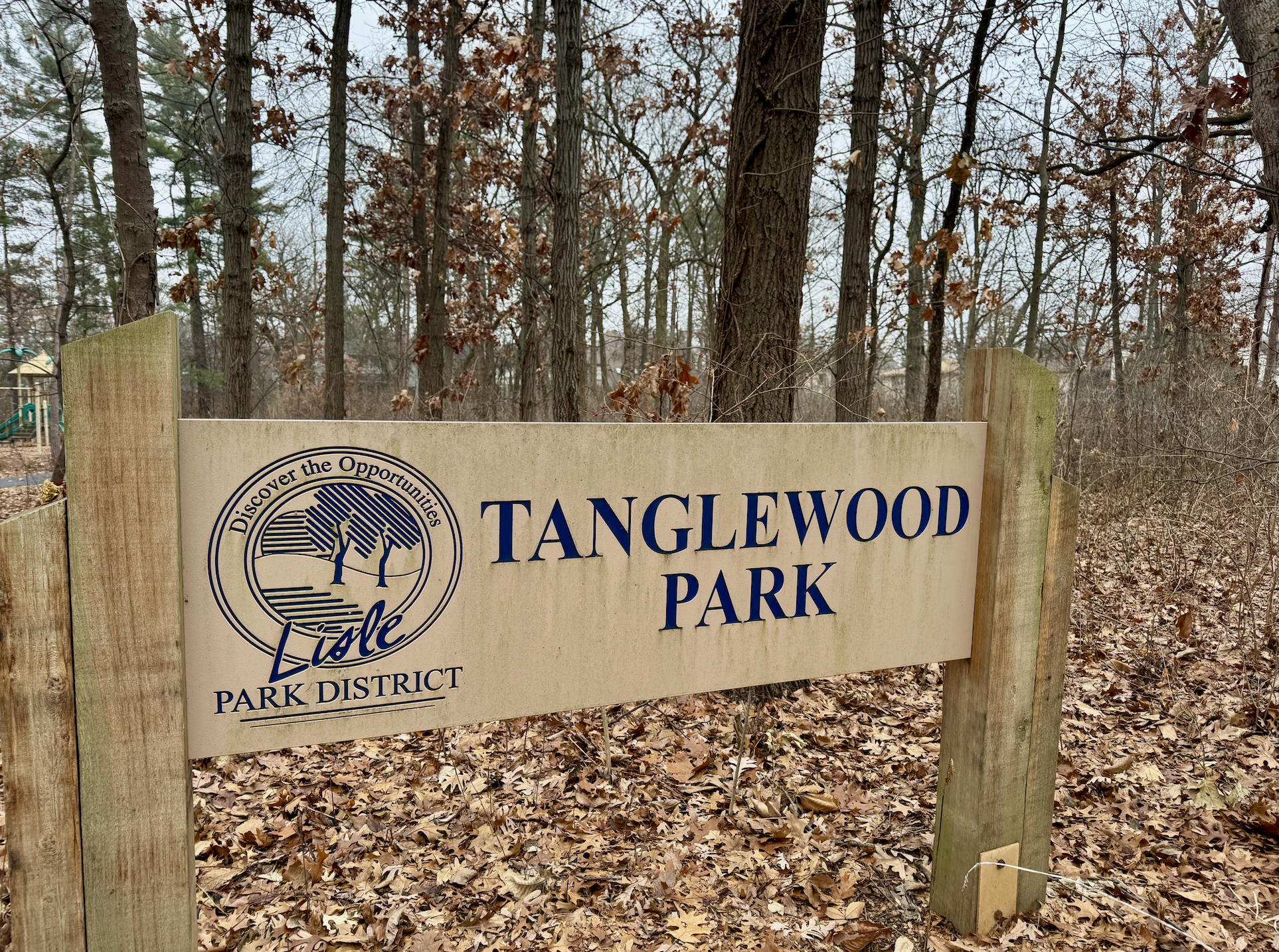 Screenshot 2026-02-14 at 4.47.50 PM.png