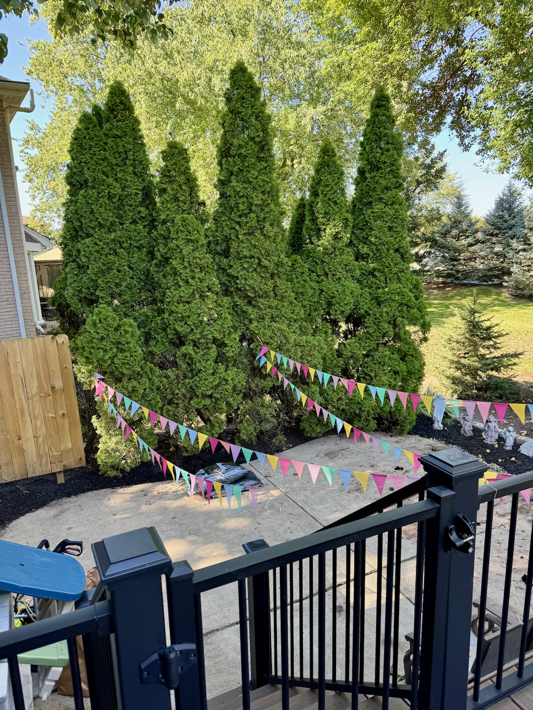 Screenshot 2026-02-14 at 4.46.47 PM.png