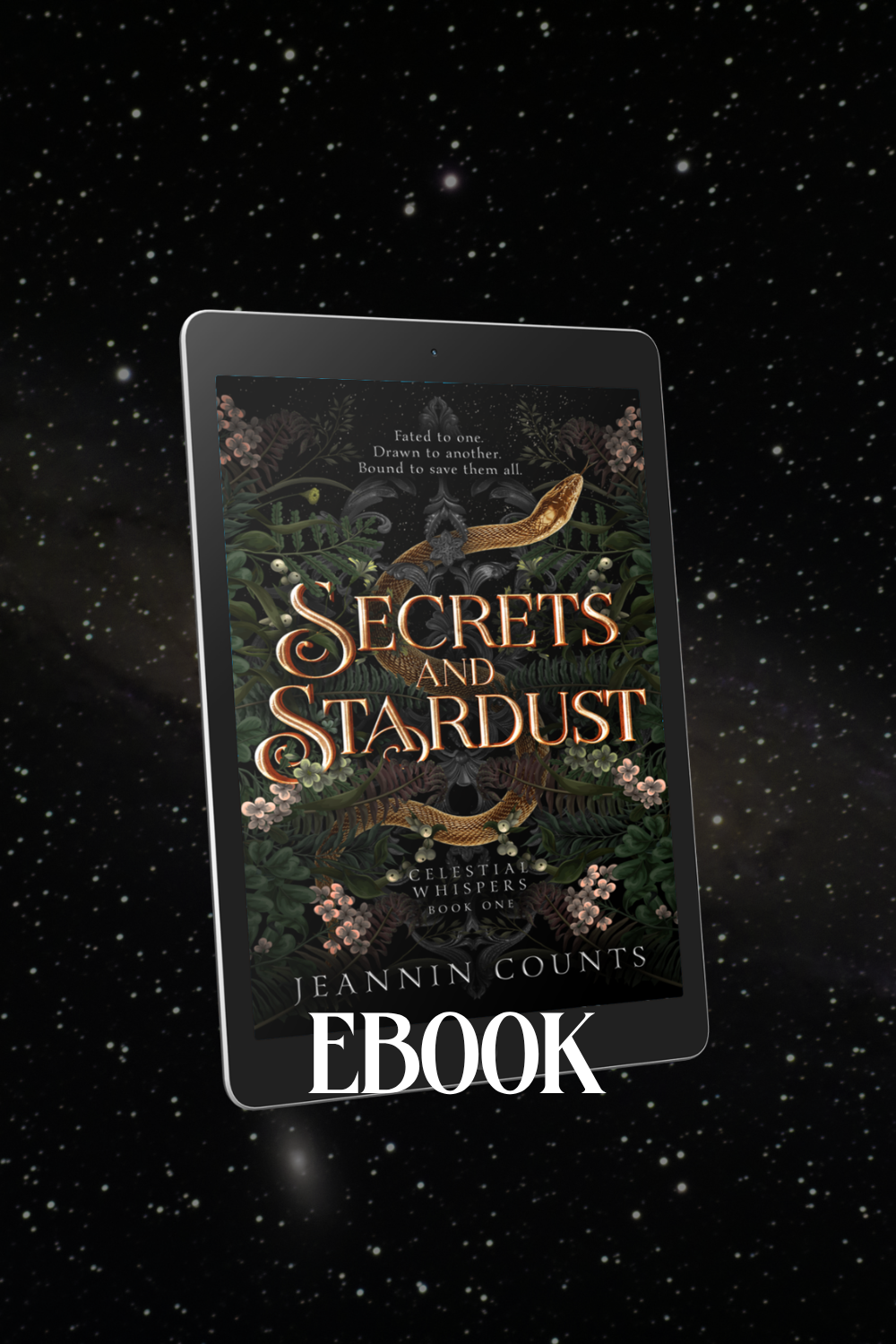 Secrets and Stardust ebook