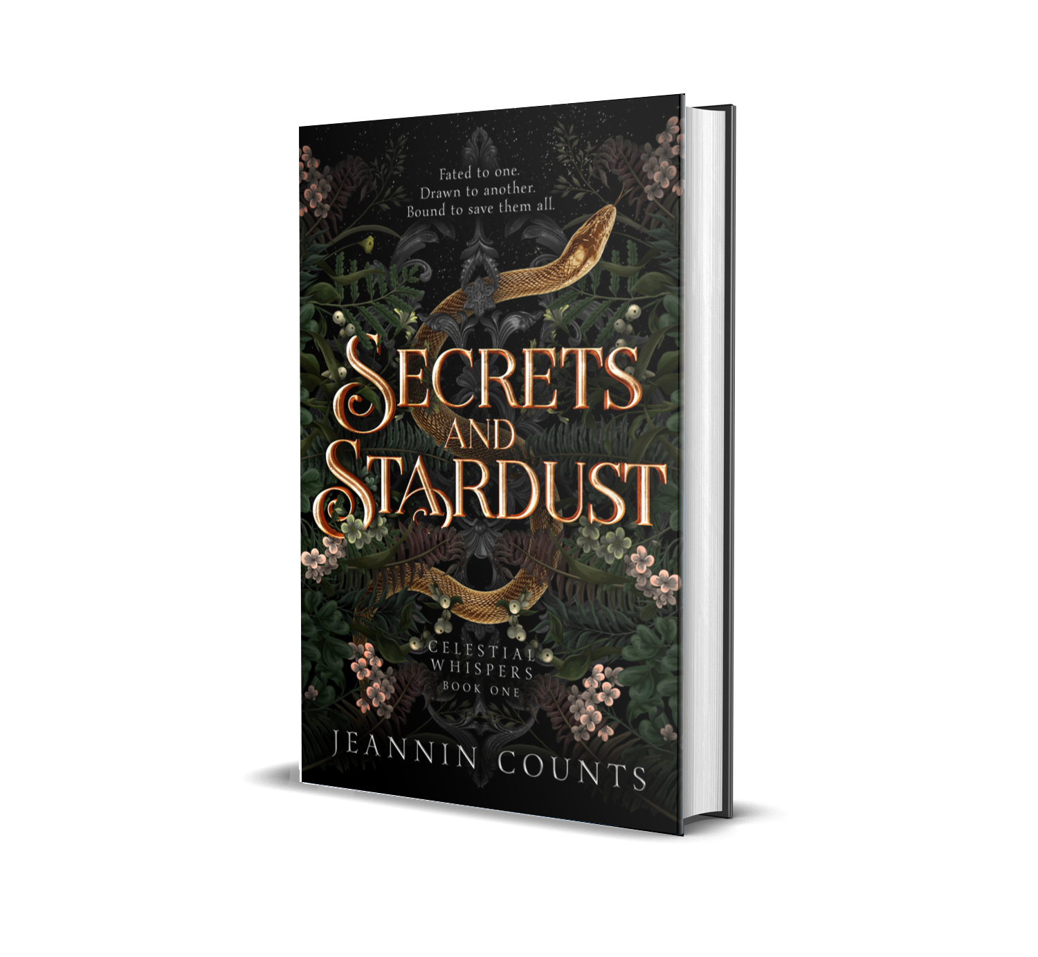 Secrets and Stardust