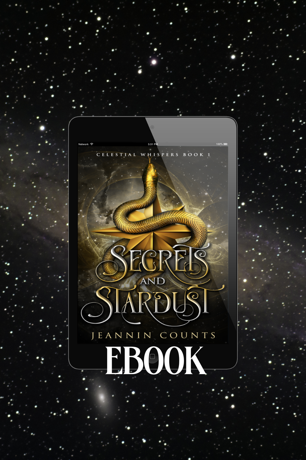 Secrets and Stardust ebook