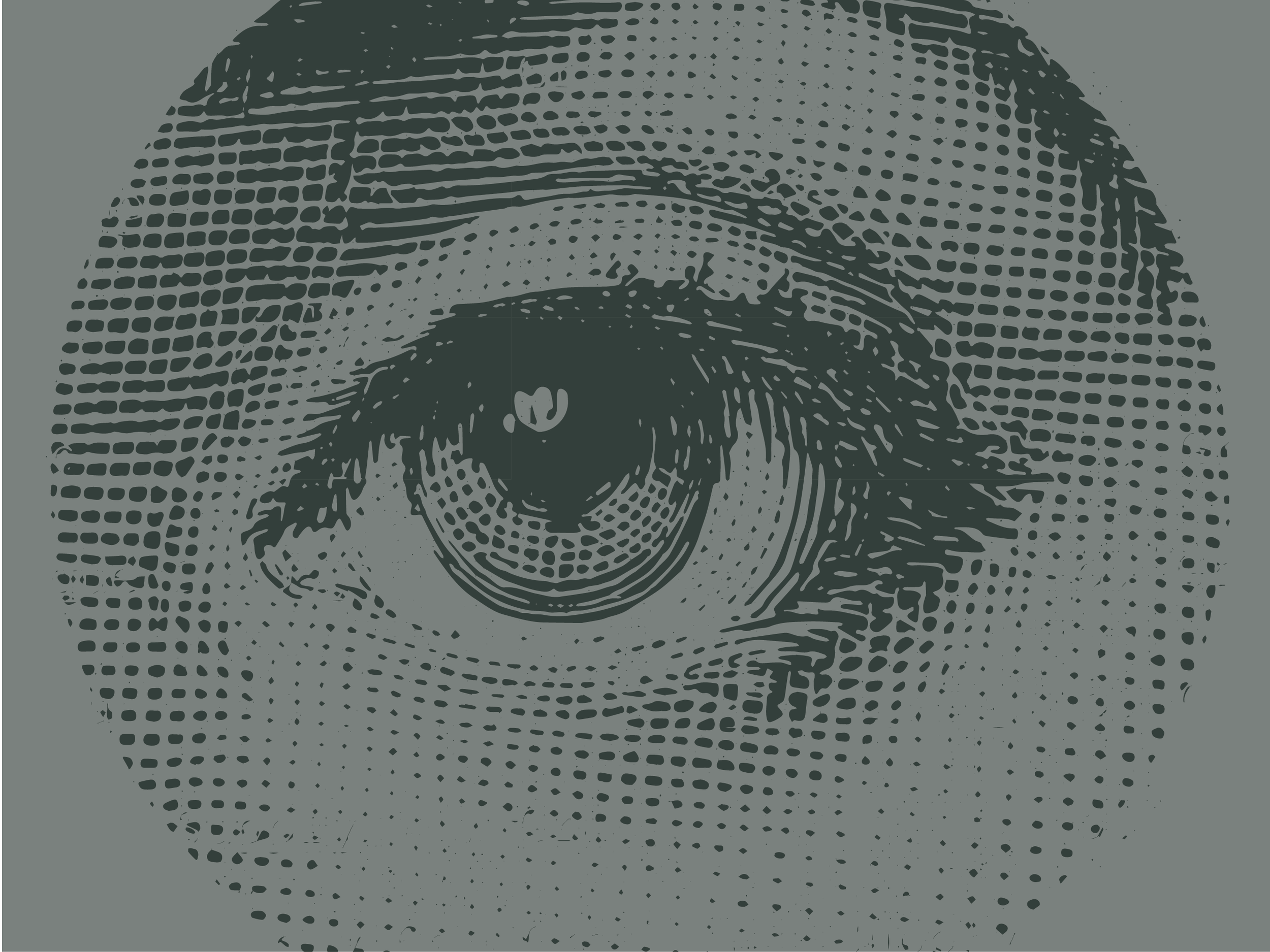 MFWFPortfolioBrandingAssets-08.png