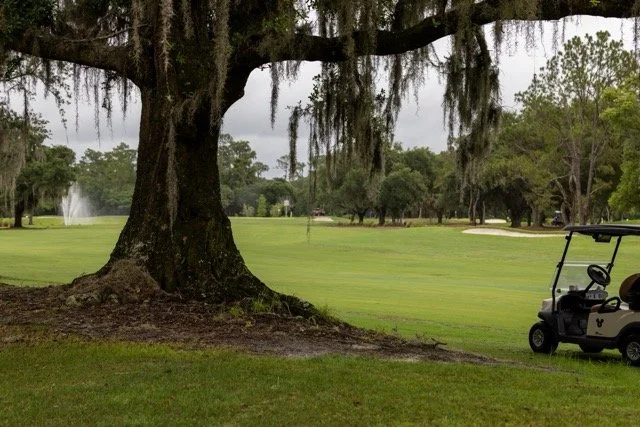 Walt Disney World Golf Grumpys Gauntlet Course Photos Johnny Michael From The Fringe_hole 14 approach Large Medium.jpeg