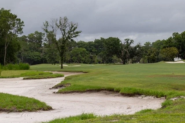 Walt Disney World Golf Grumpys Gauntlet Course Photos Johnny Michael From The Fringe_hole 16 tee waste bunkers Large Medium.jpeg