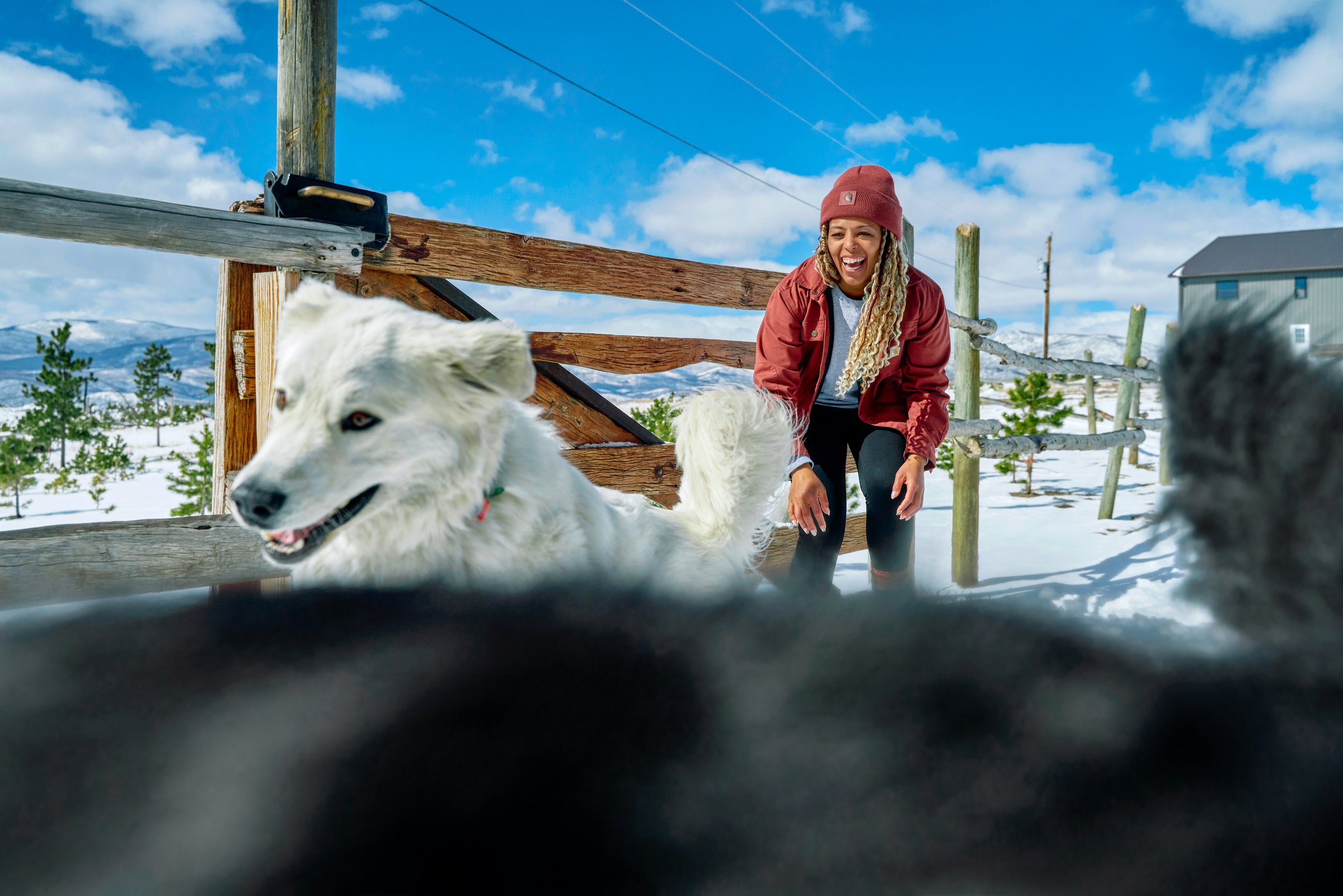 Dogs Running in Colorado Ranch with Women dressed with Carhartt Beanie and Utility Jacket.