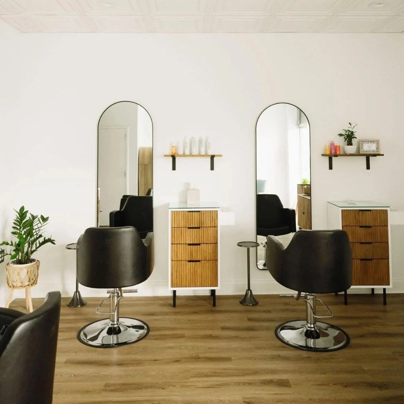 Salon with two styling stations, each with a mirror, black chair, and wooden cabinet, along with potted plants and decorative shelves.