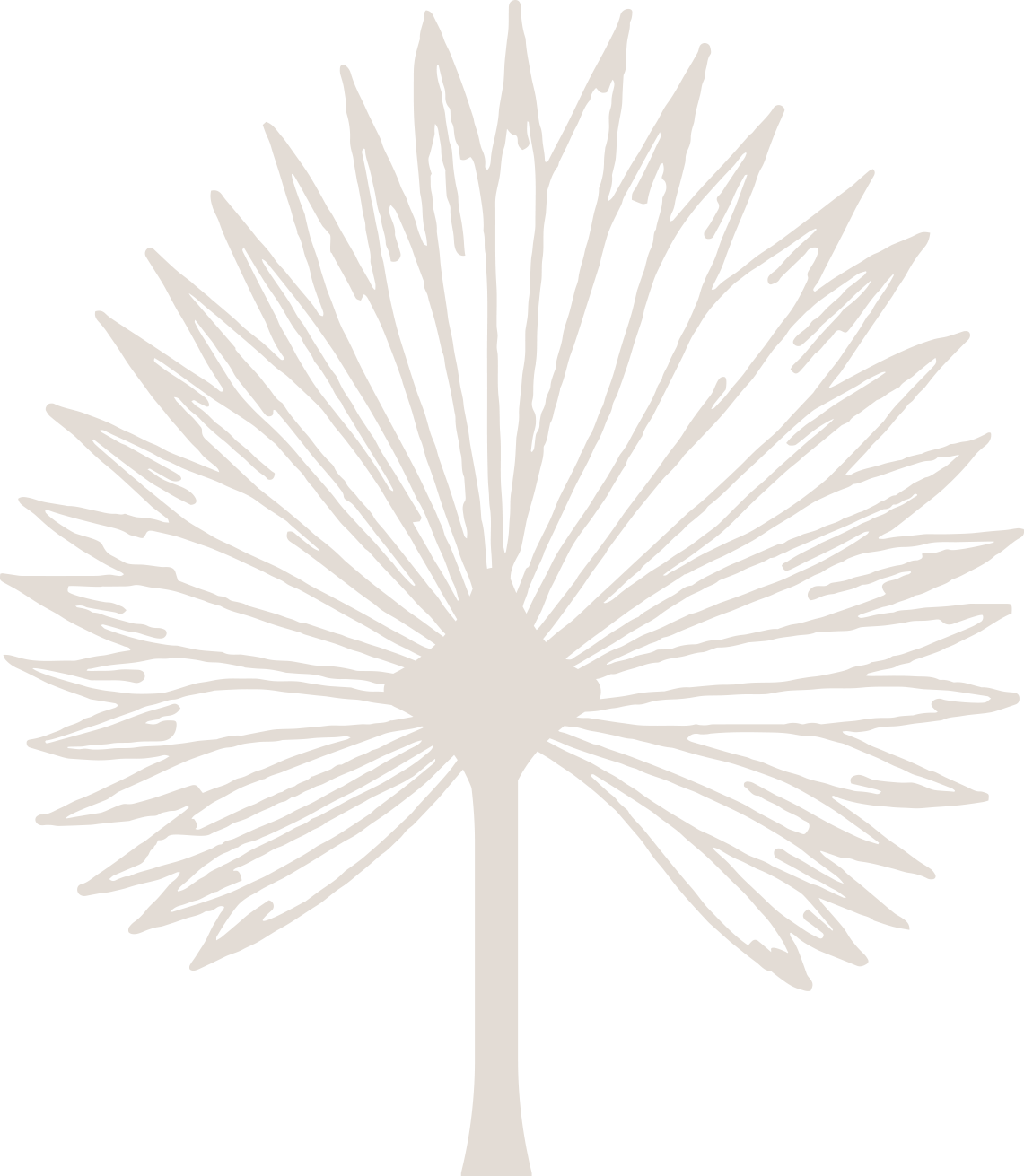 Logo for Woven Vow Weddings a concierge wedding planning company in Dallas Texas serving all of Texas