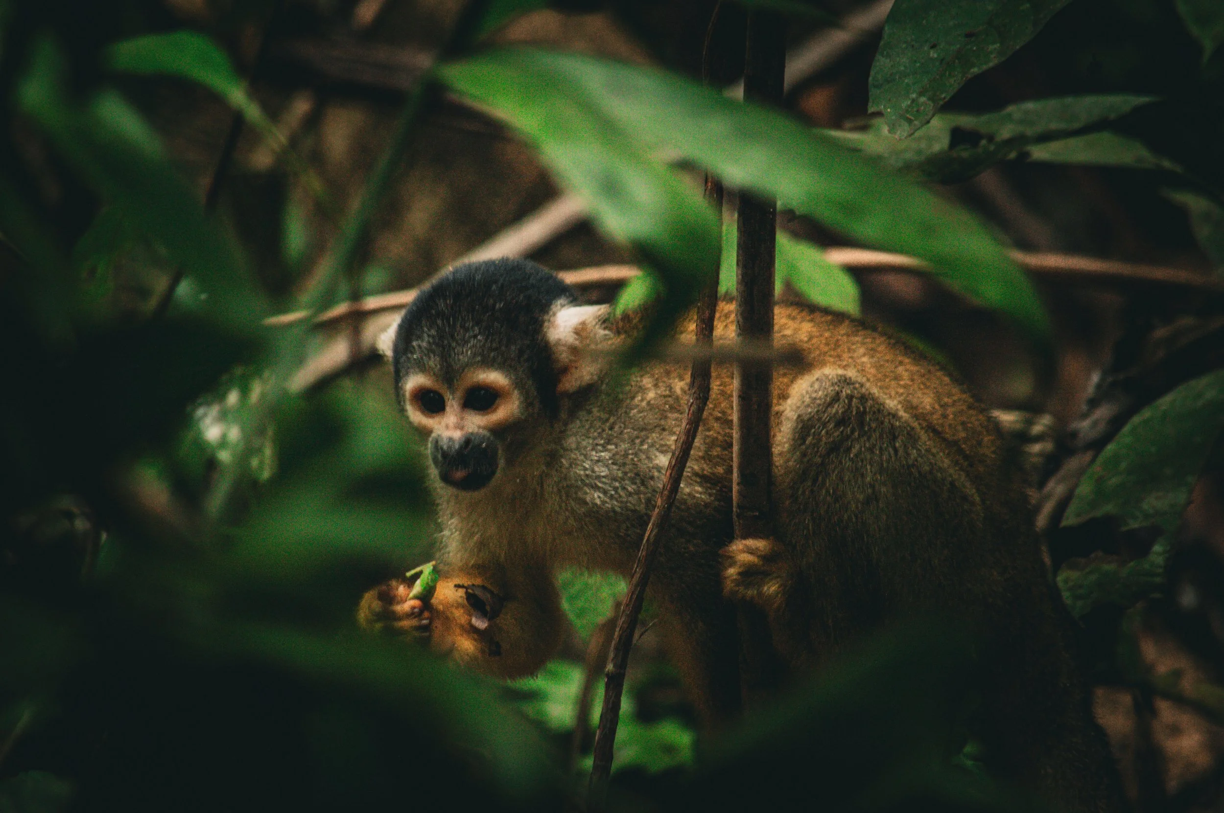 DSC_0537.jpeg