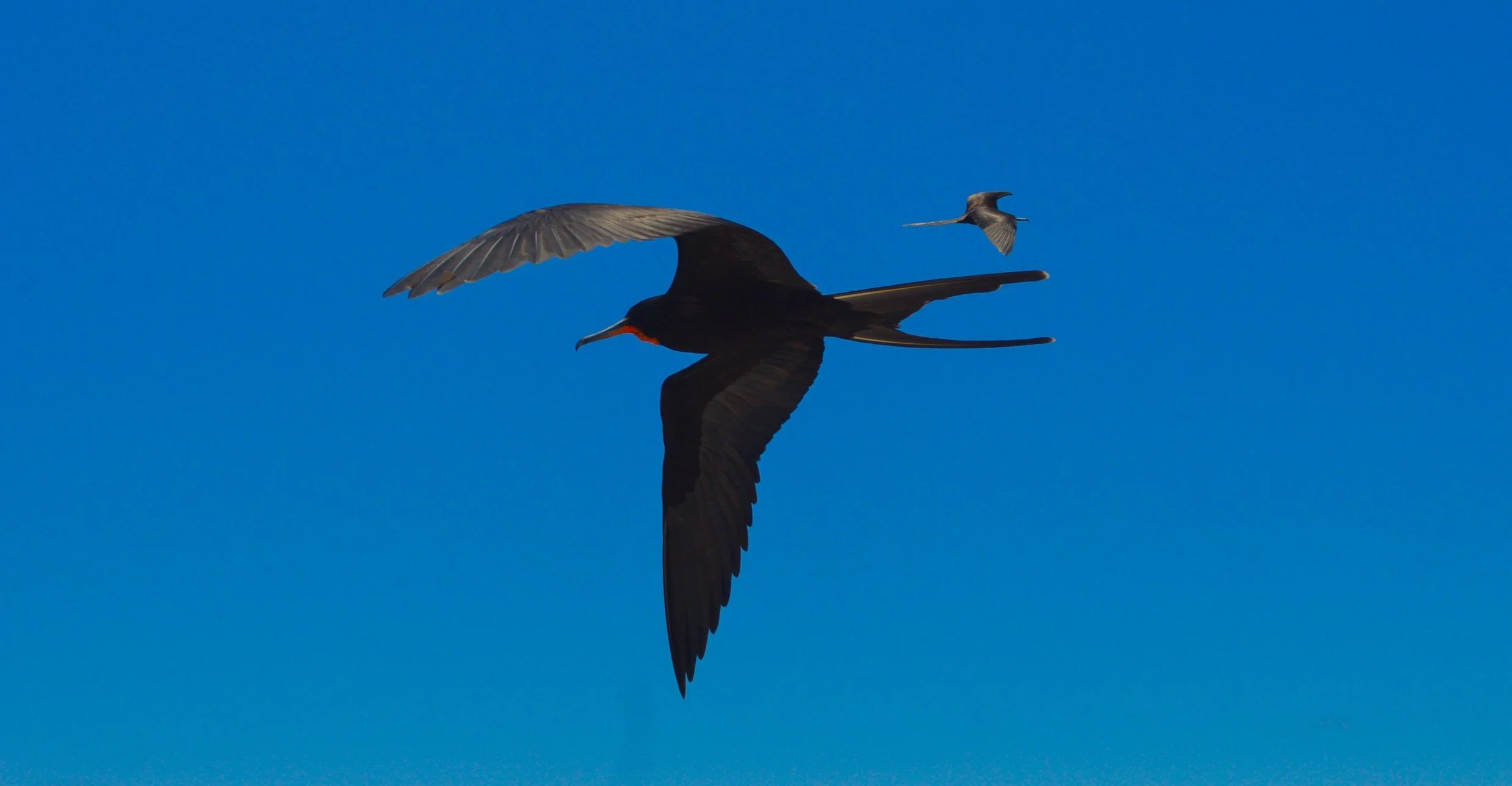 DSC_0906.jpg