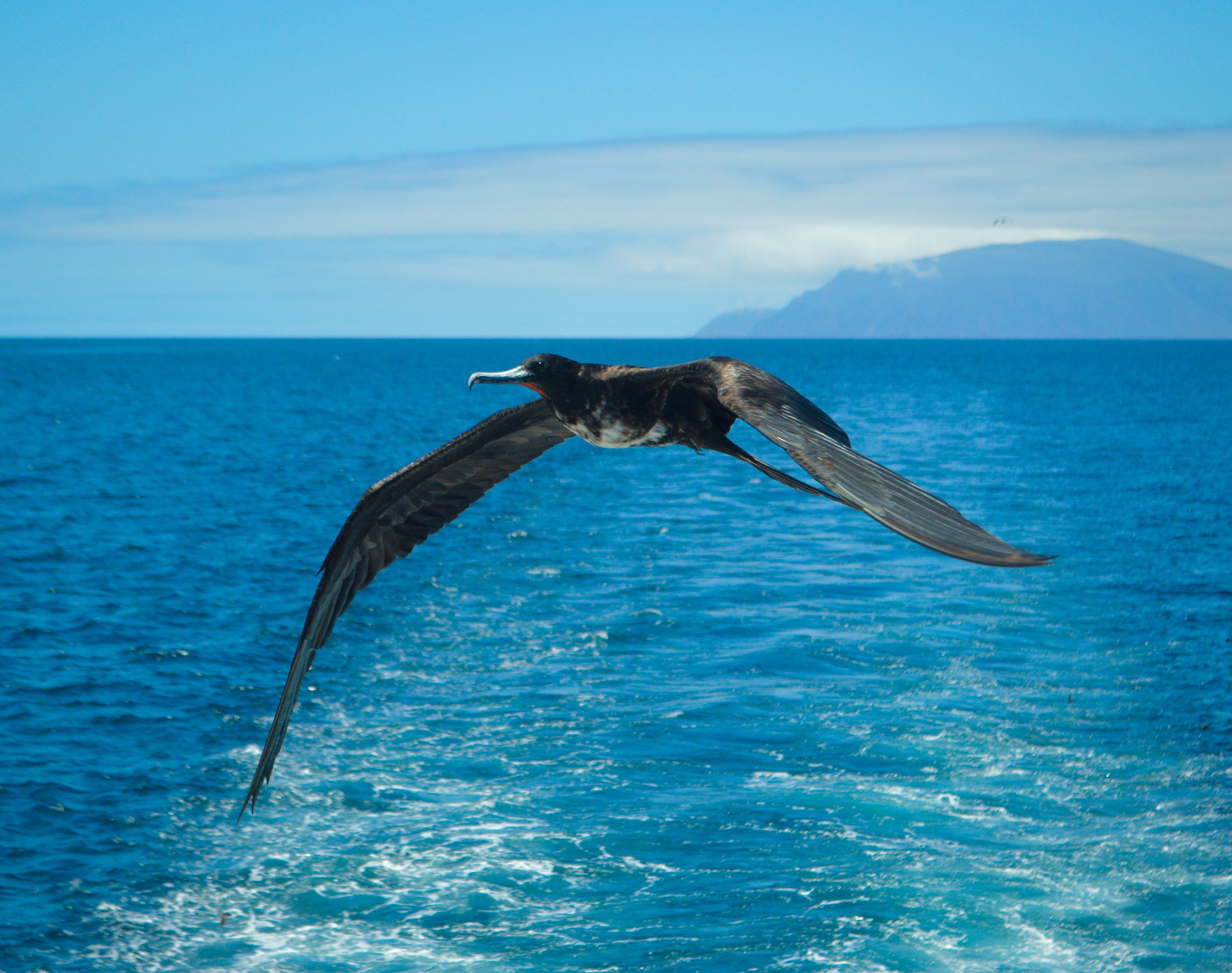 DSC_0912.jpg