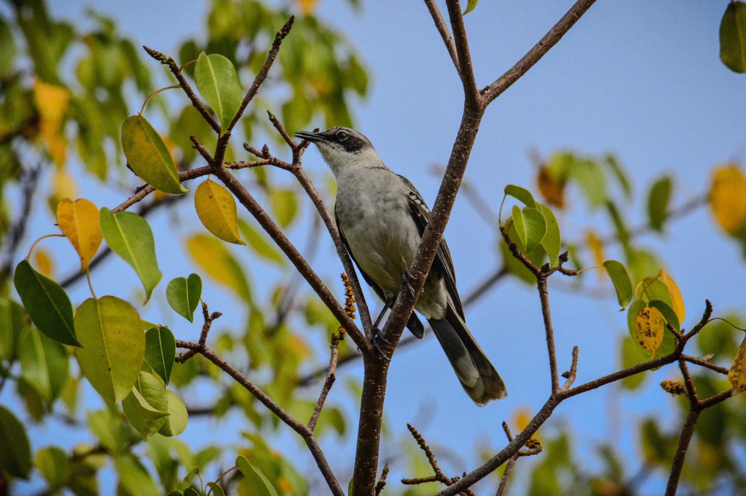 DSC_0196.jpeg