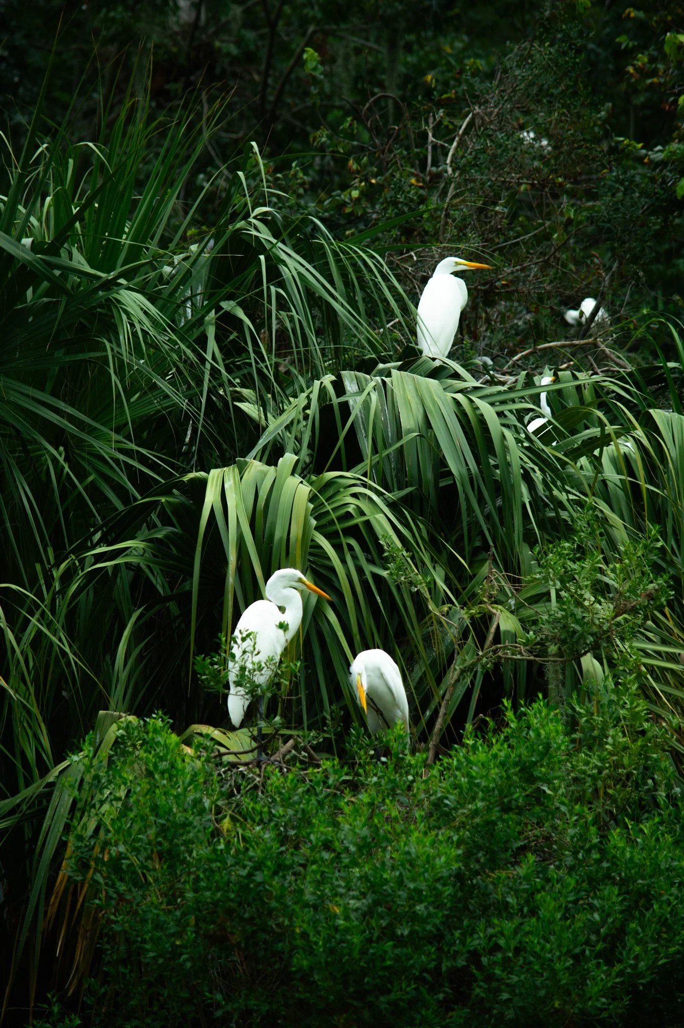 DSC_0138.jpg
