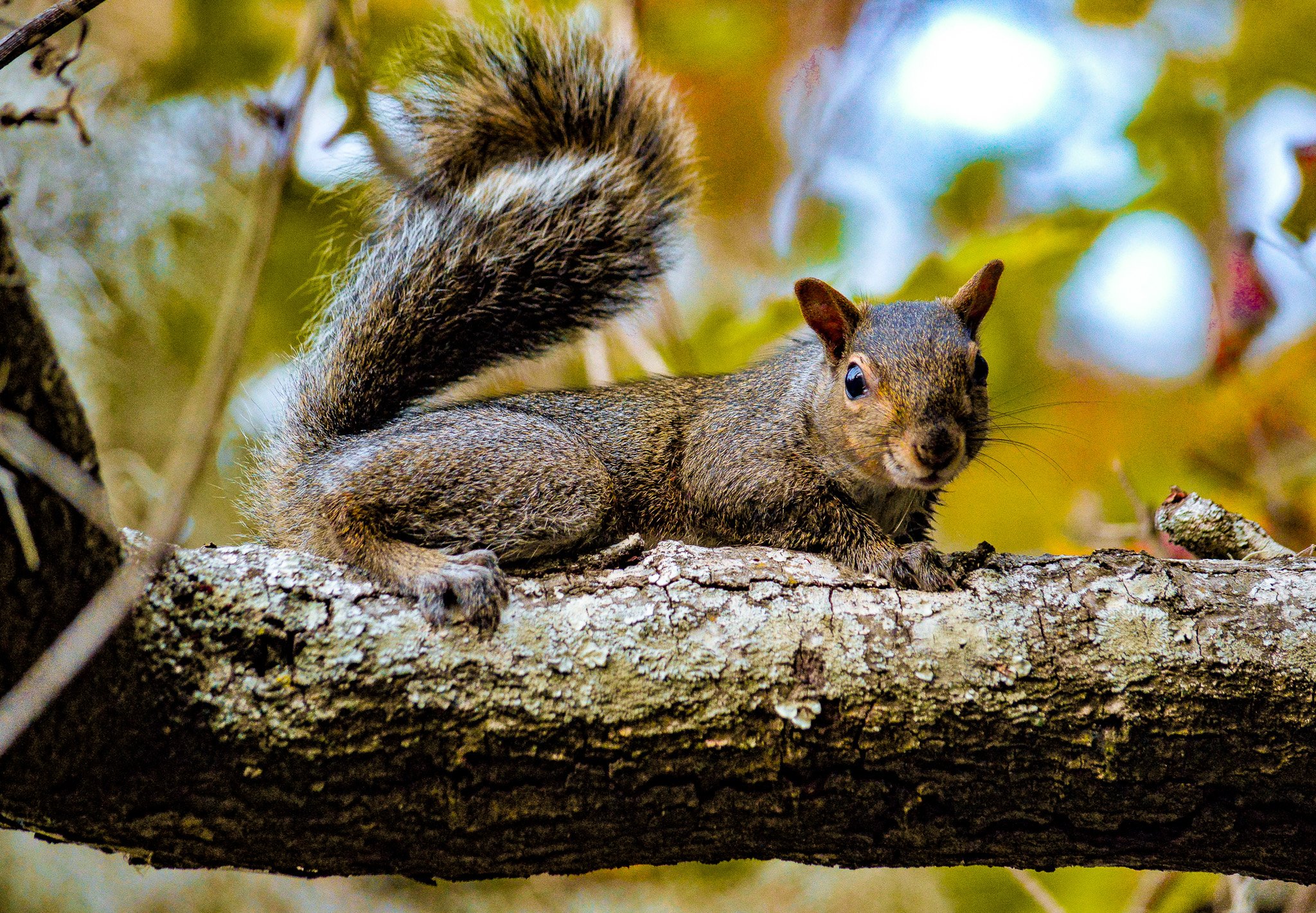 DSC_0142.jpg