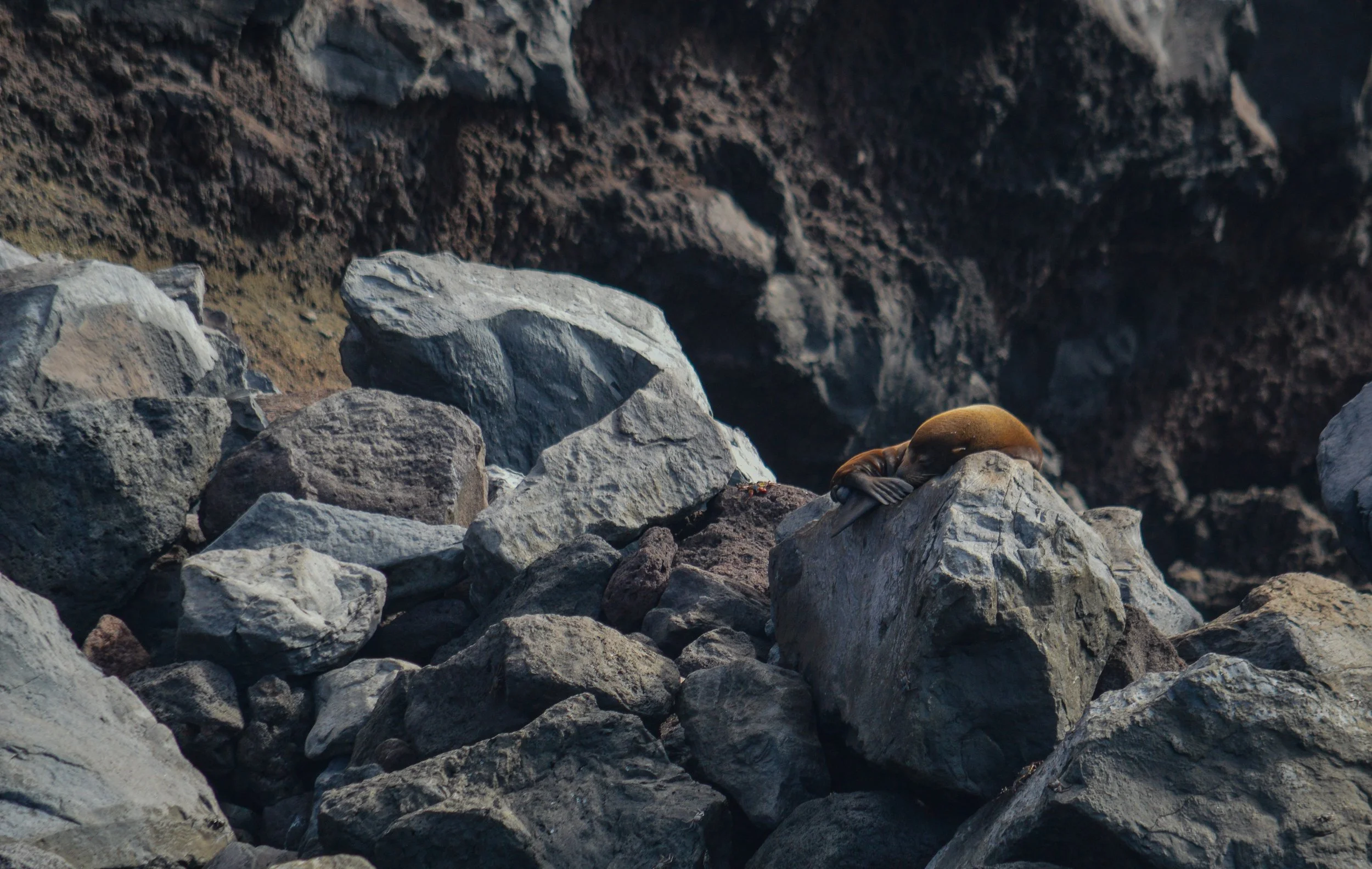 DSC_0696.jpeg