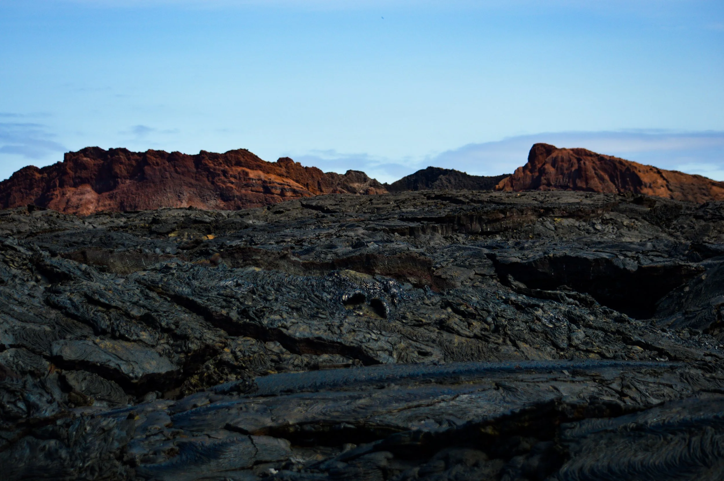 DSC_0888.jpg