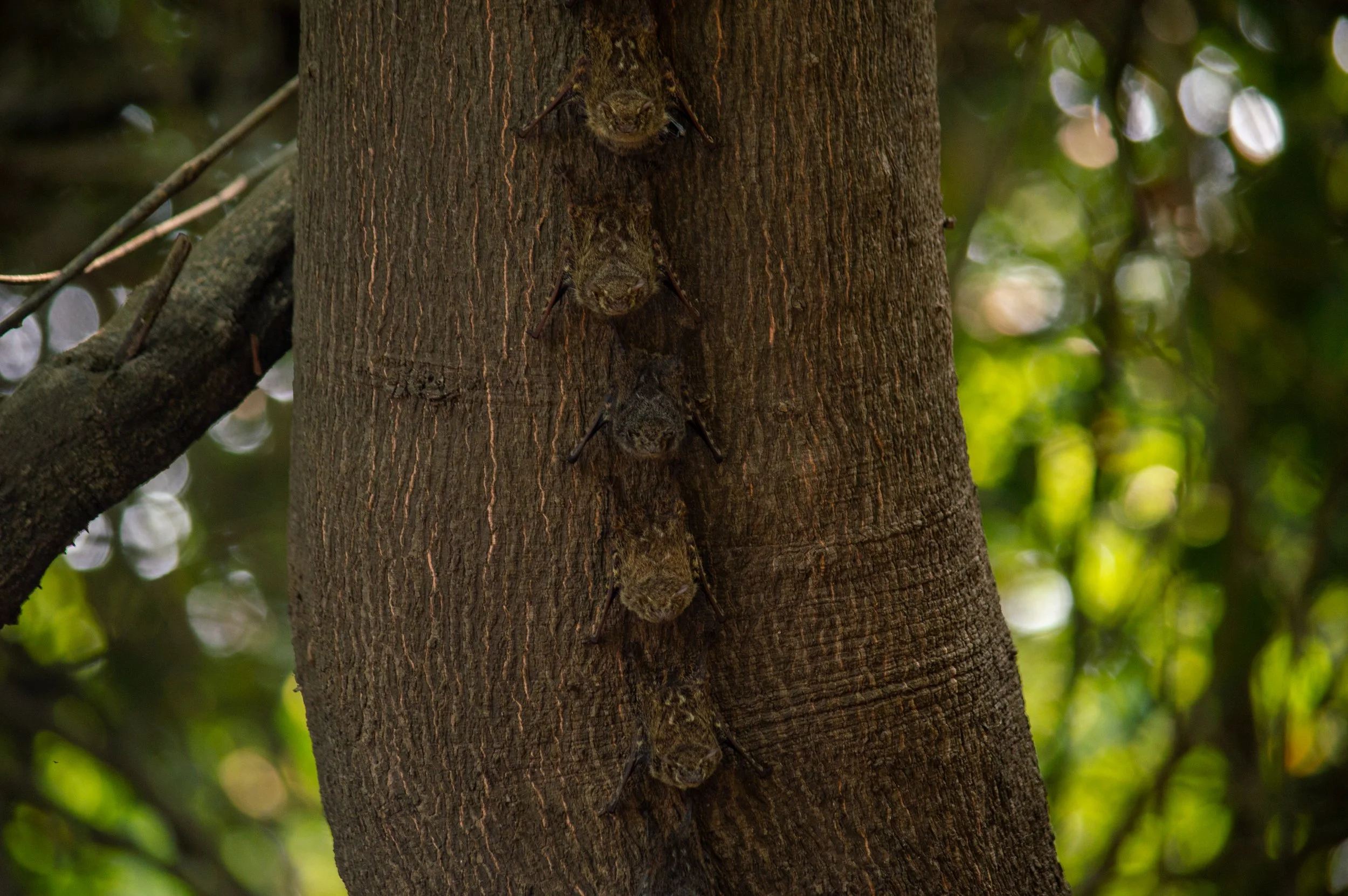 DSC_0351.jpg