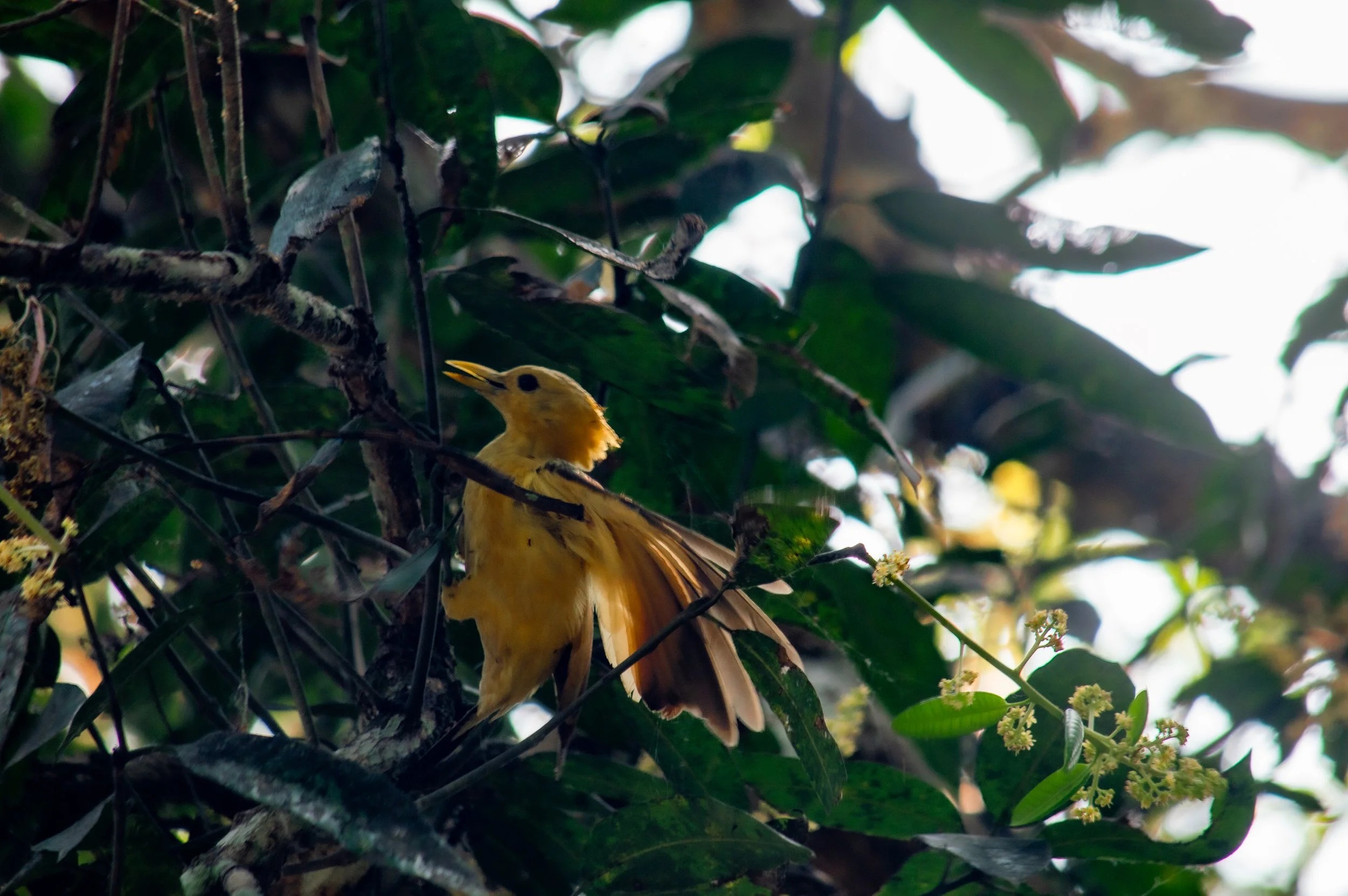 DSC_0552.jpg