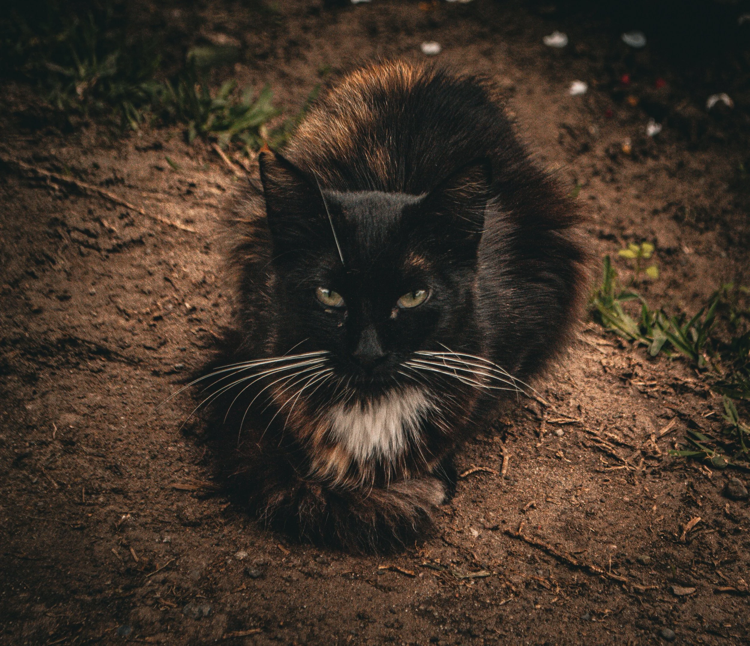 DSC_0663-2.jpeg