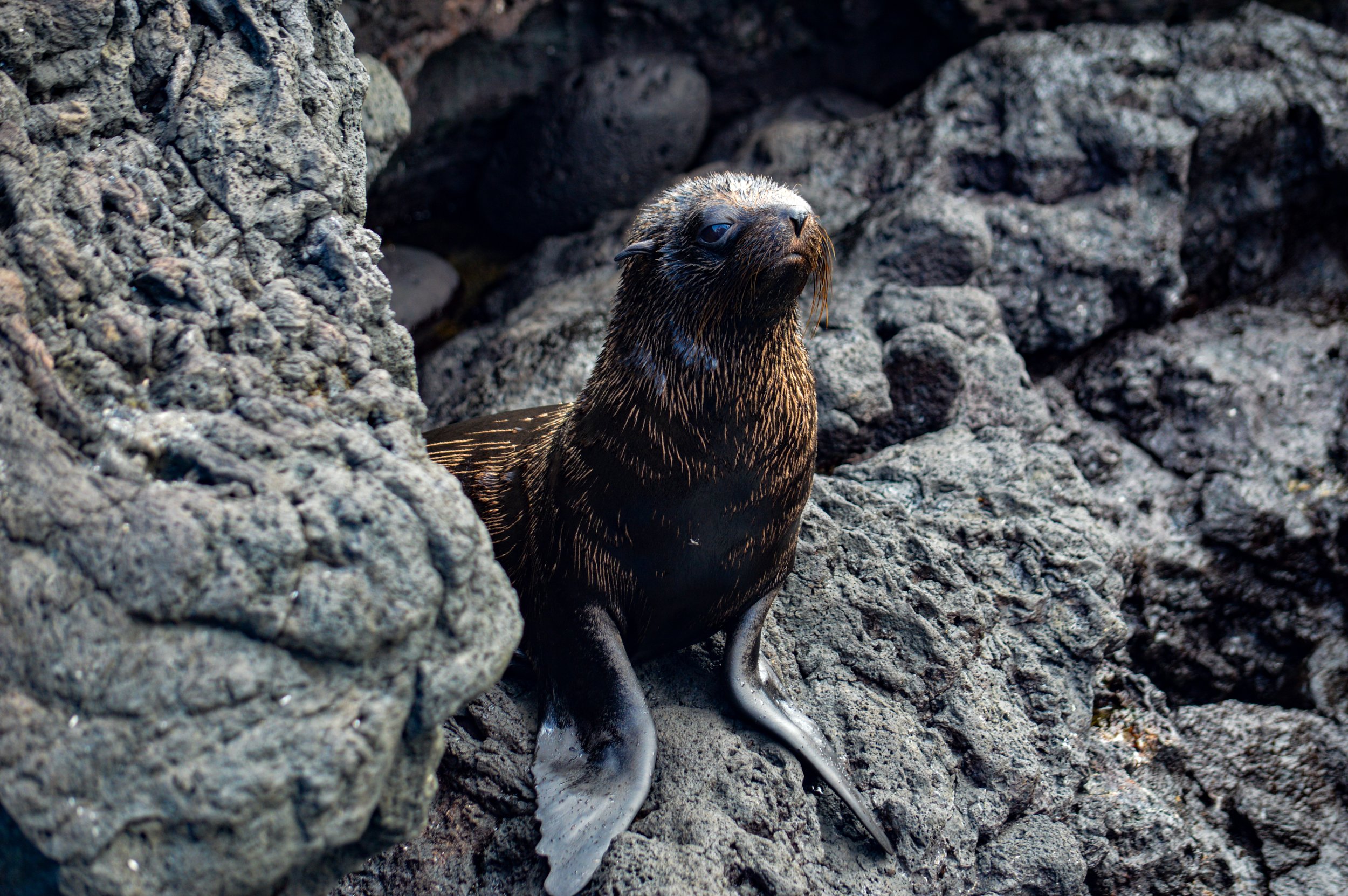 DSC_0824 2.jpg
