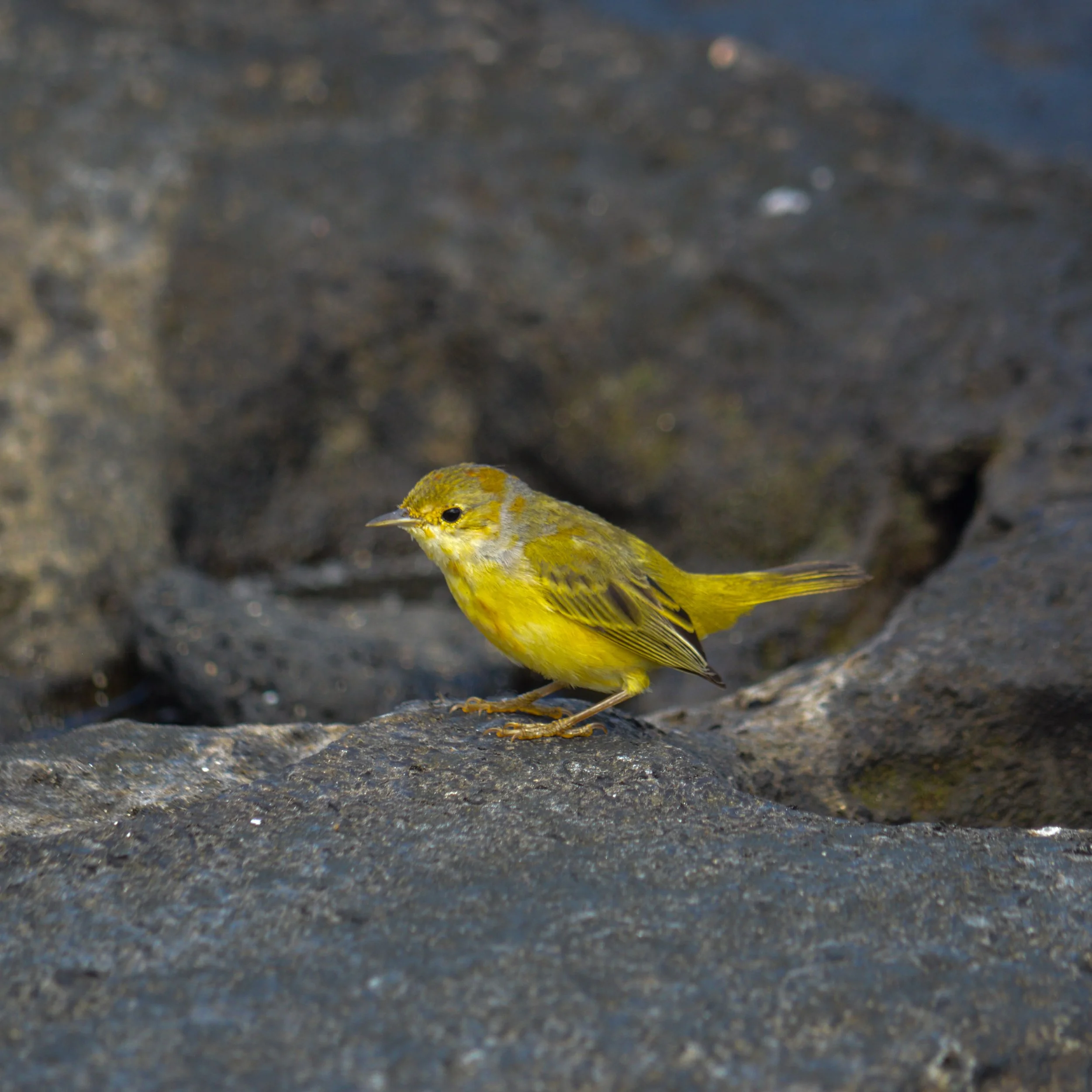 DSC_0711 2.jpg