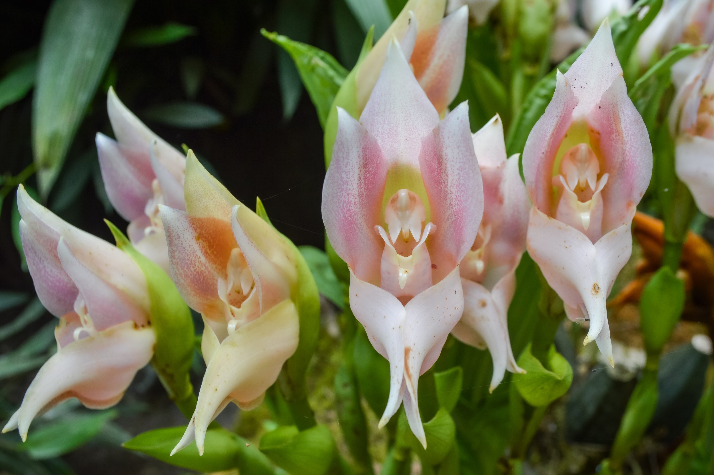 DSC_0776.jpg