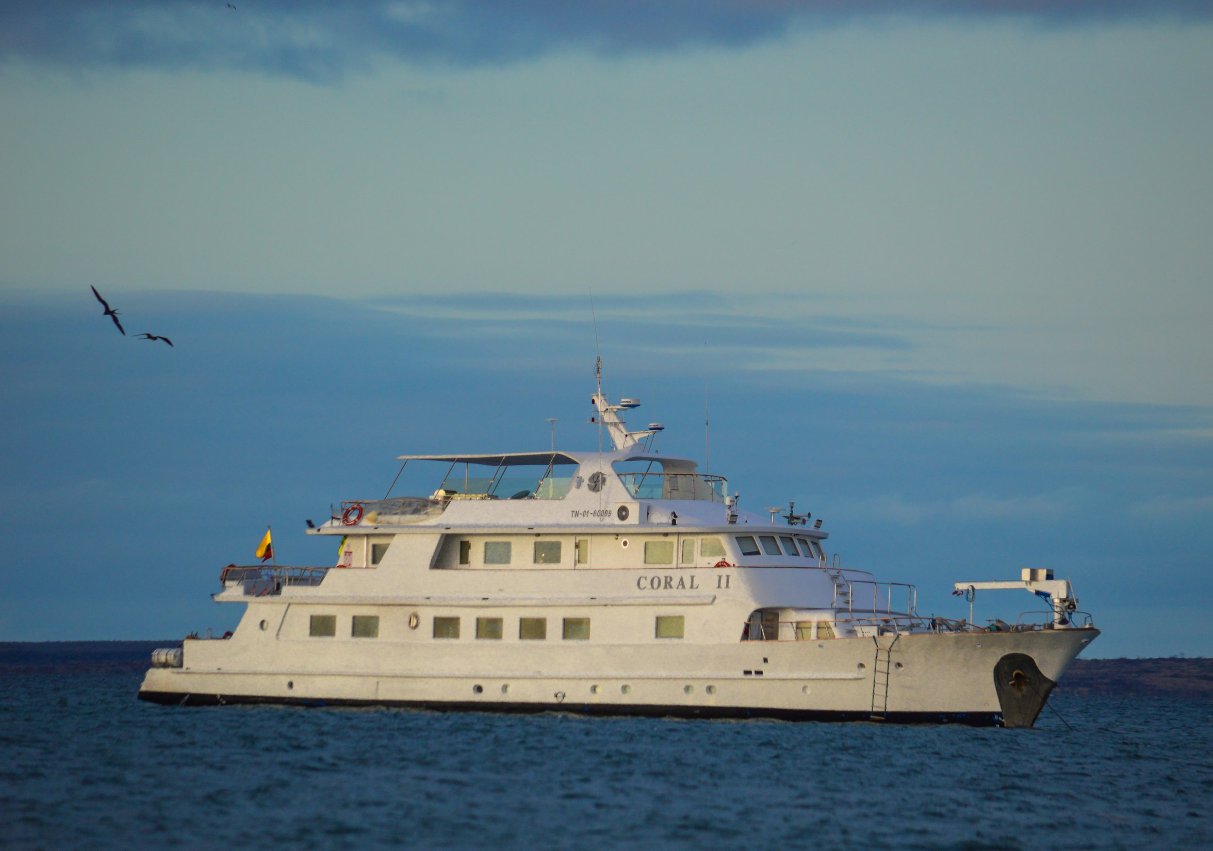 DSC_0634.jpg