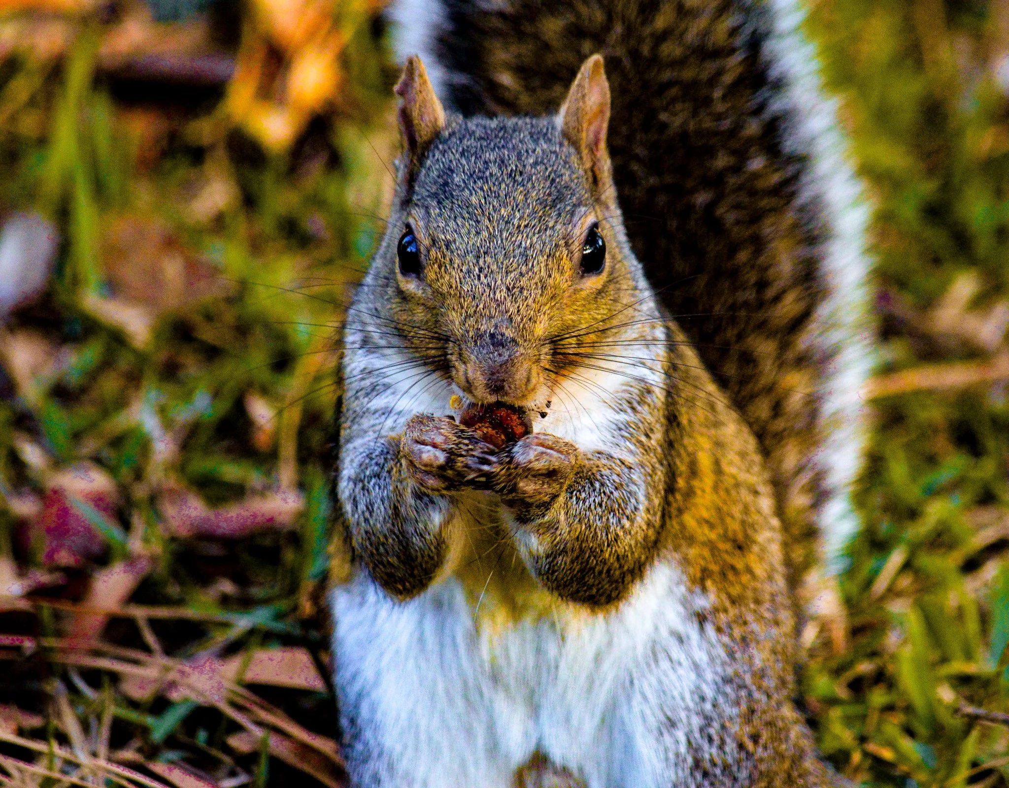 DSC_0235-2.jpg