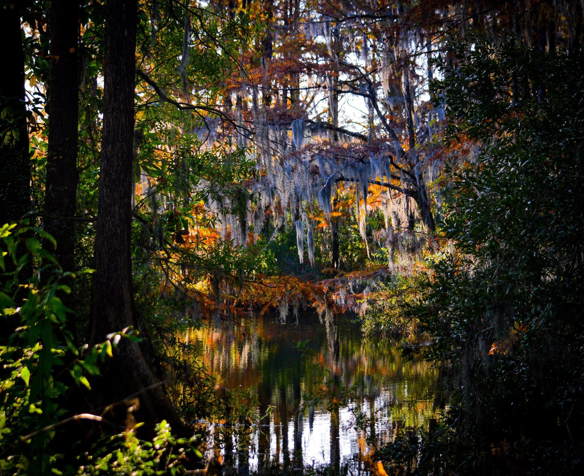 DSC_0094.jpg